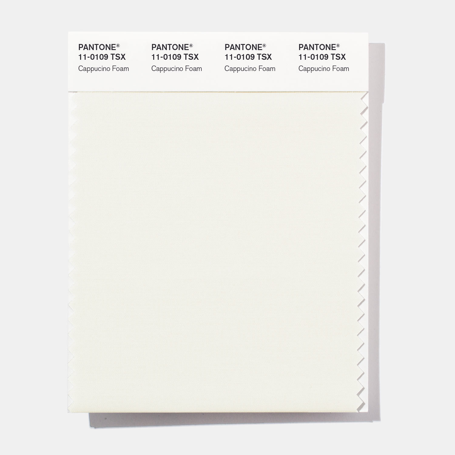 Pantone Polyester Swatch 11-0109 Cappucino Fo