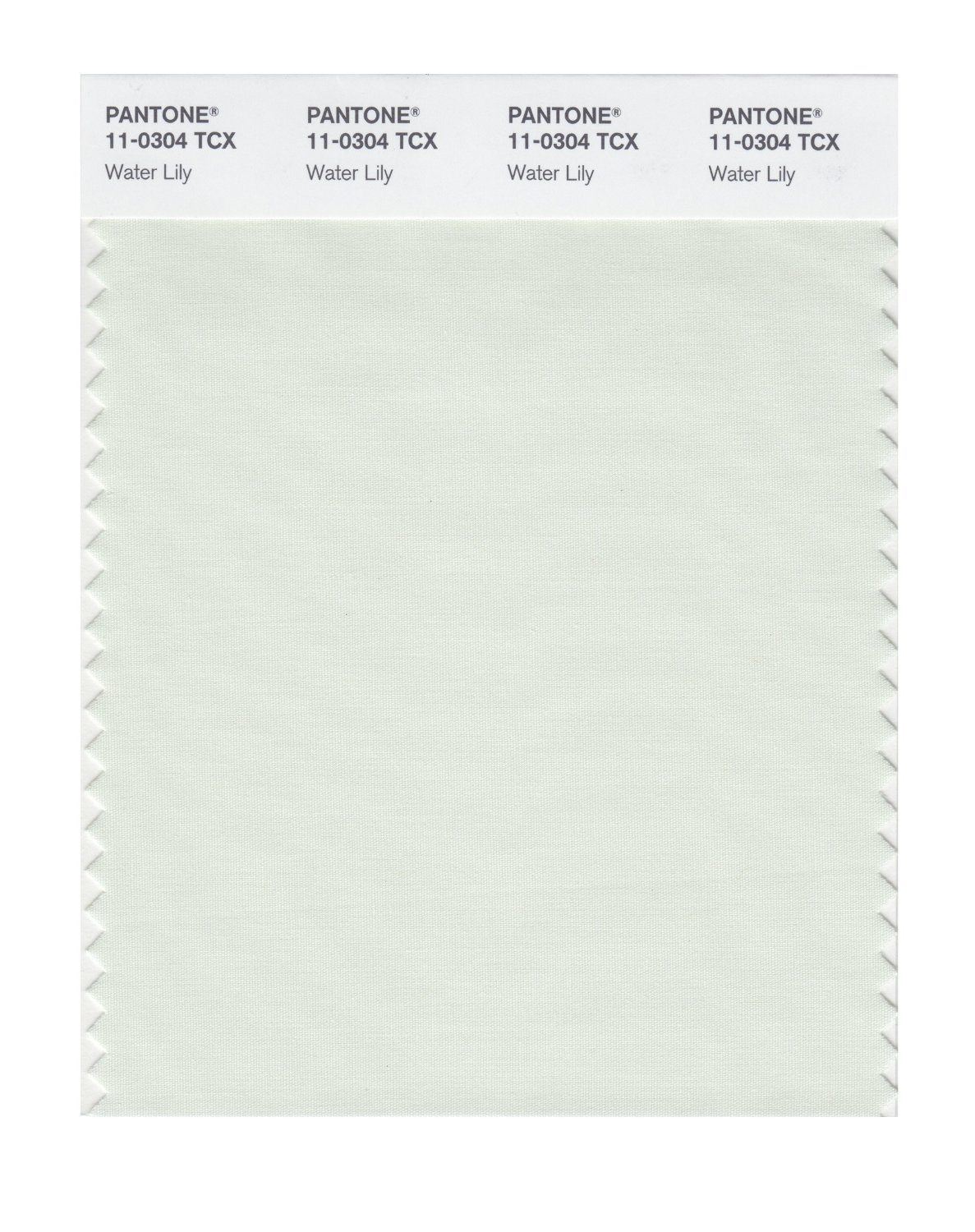 Pantone Cotton Swatch 11-0304 Water Lily