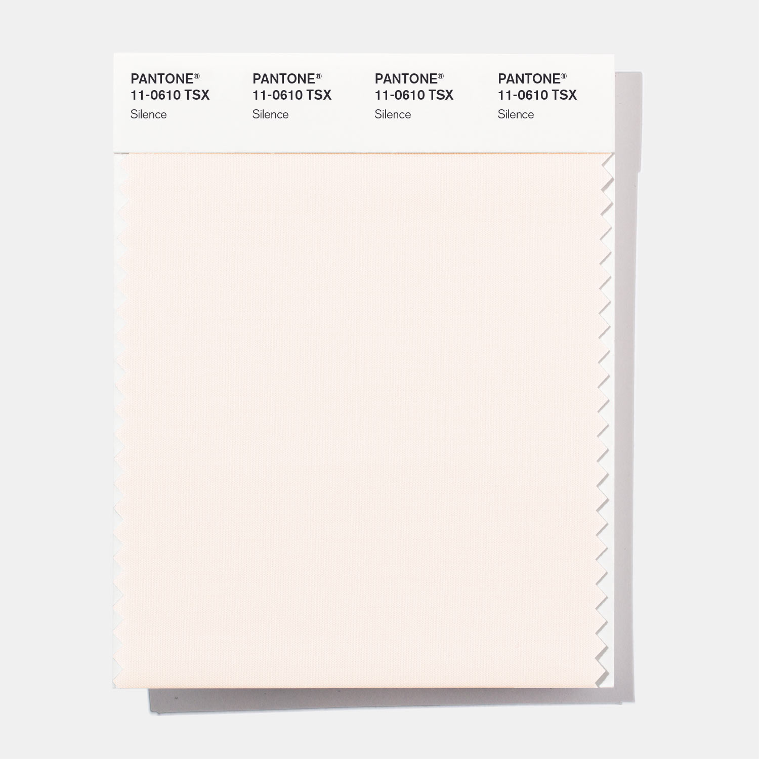 Pantone Polyester Swatch 11-0610 Silence