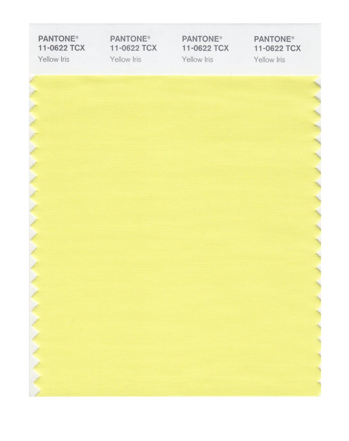 Pantone Cotton Swatch 11-0622 Yellow Iris