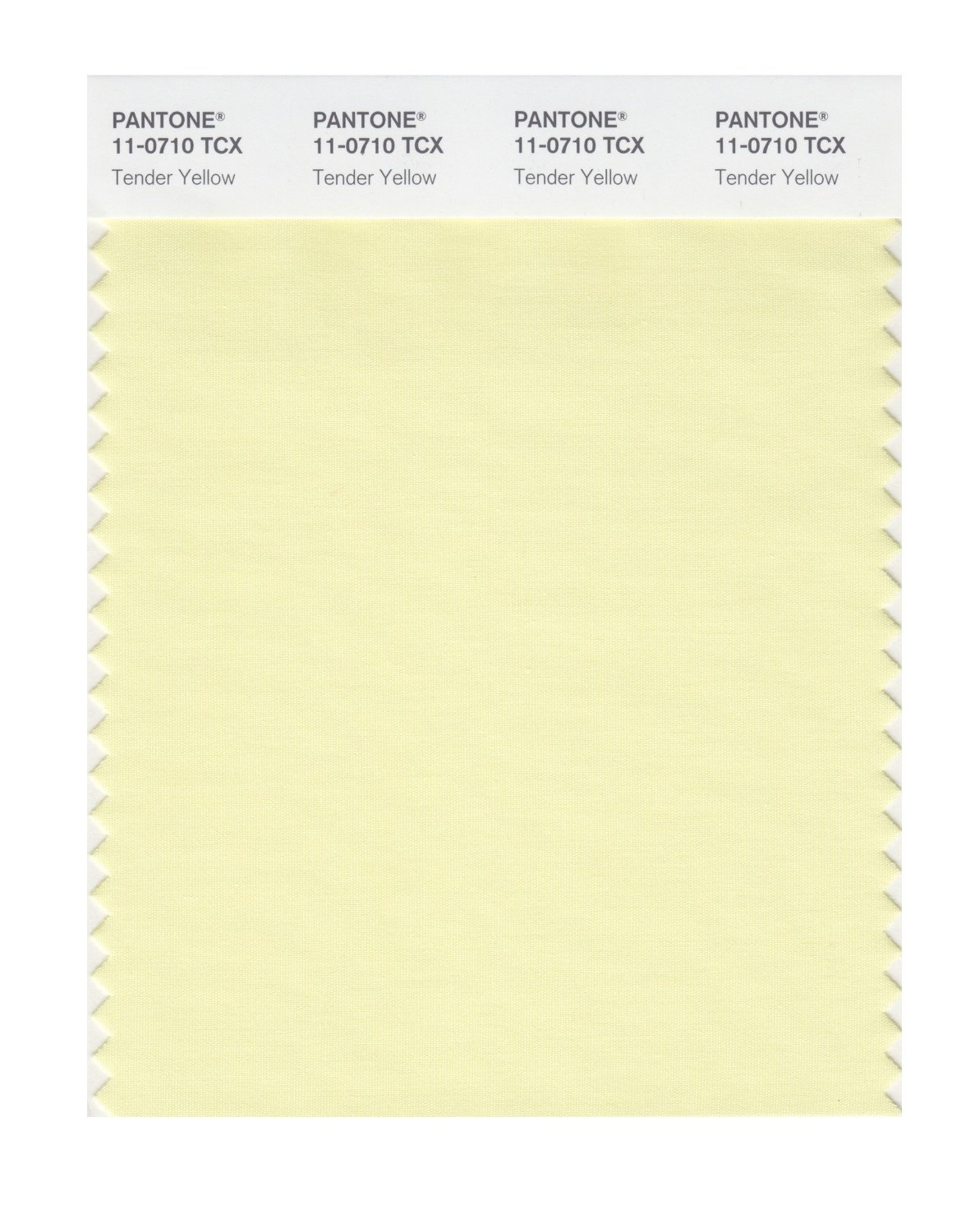 Pantone Cotton Swatch 11-0710 Tender Yellow