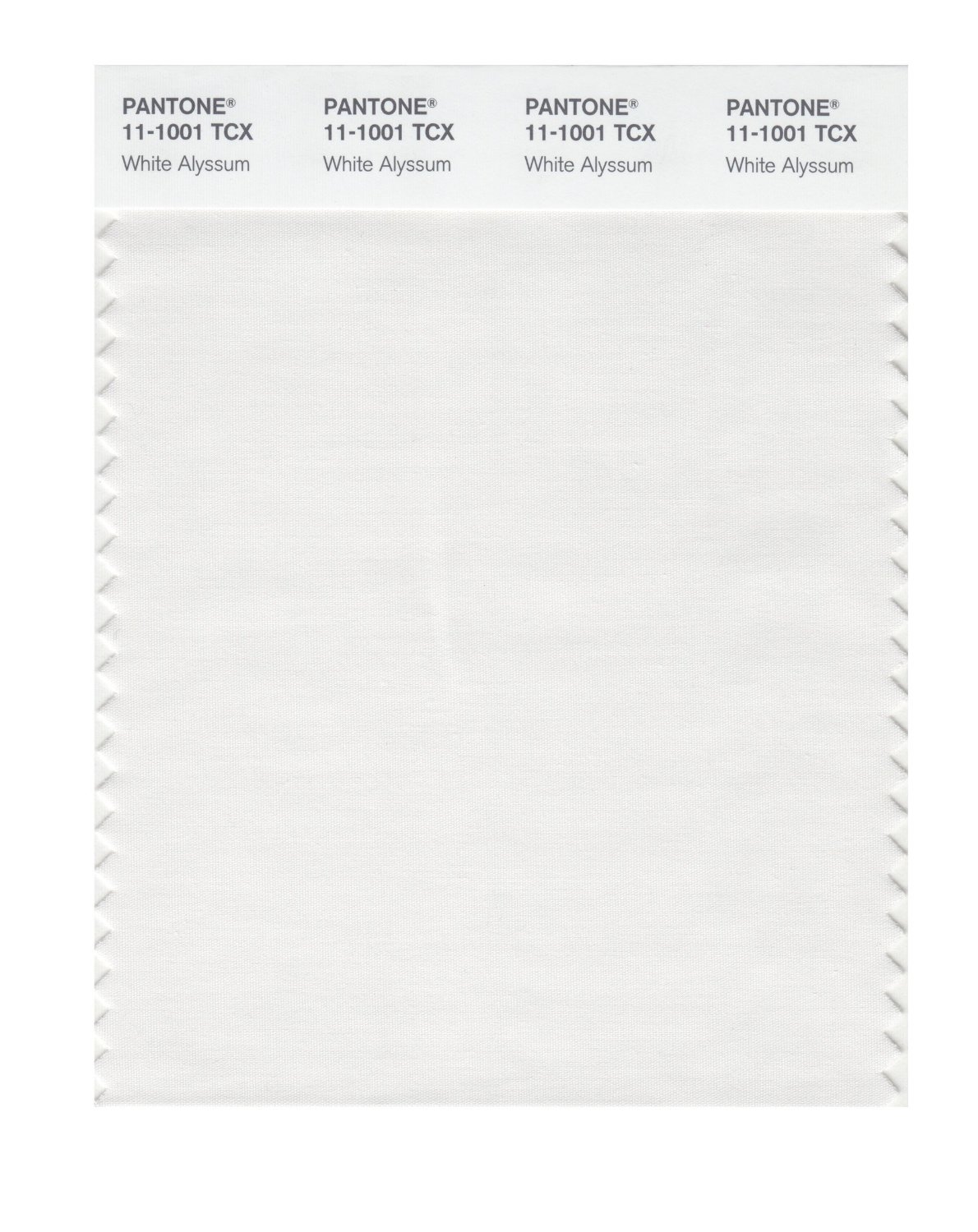 Pantone Cotton Swatch 11-1001 White Alyssum