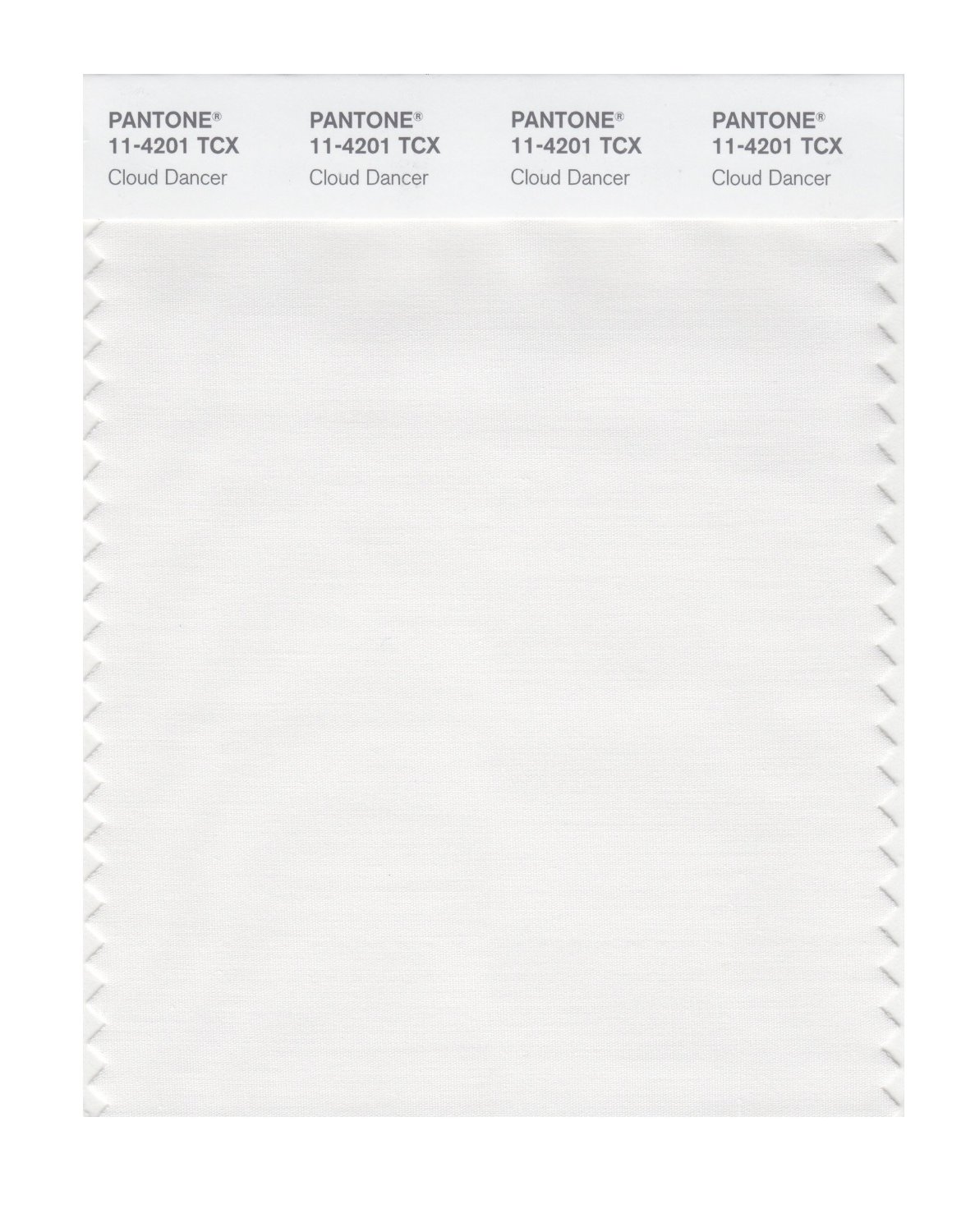 Pantone Cotton Swatch 11-4201 Cloud Dancer