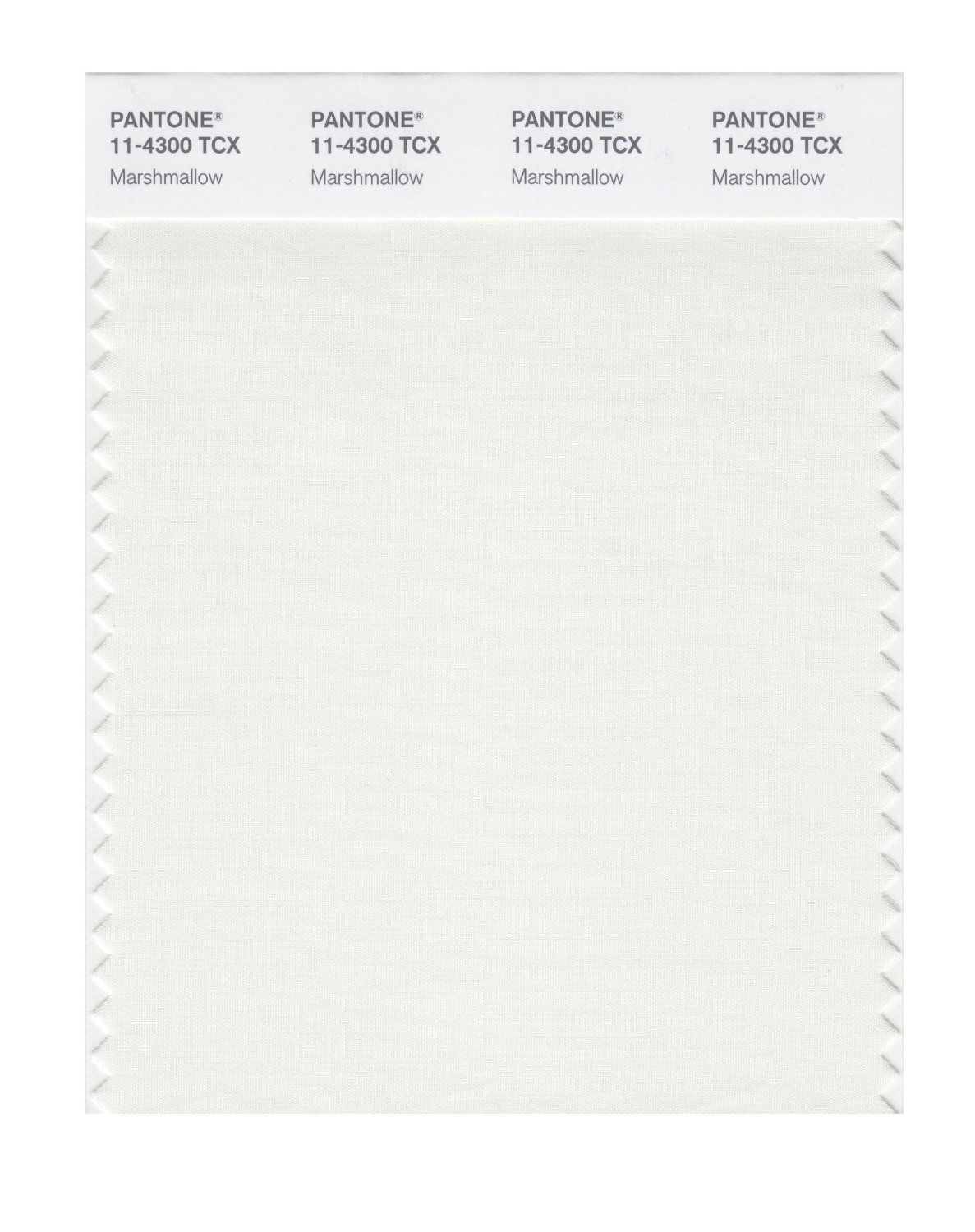 Pantone Cotton Swatch 11-4300 Marshmallow