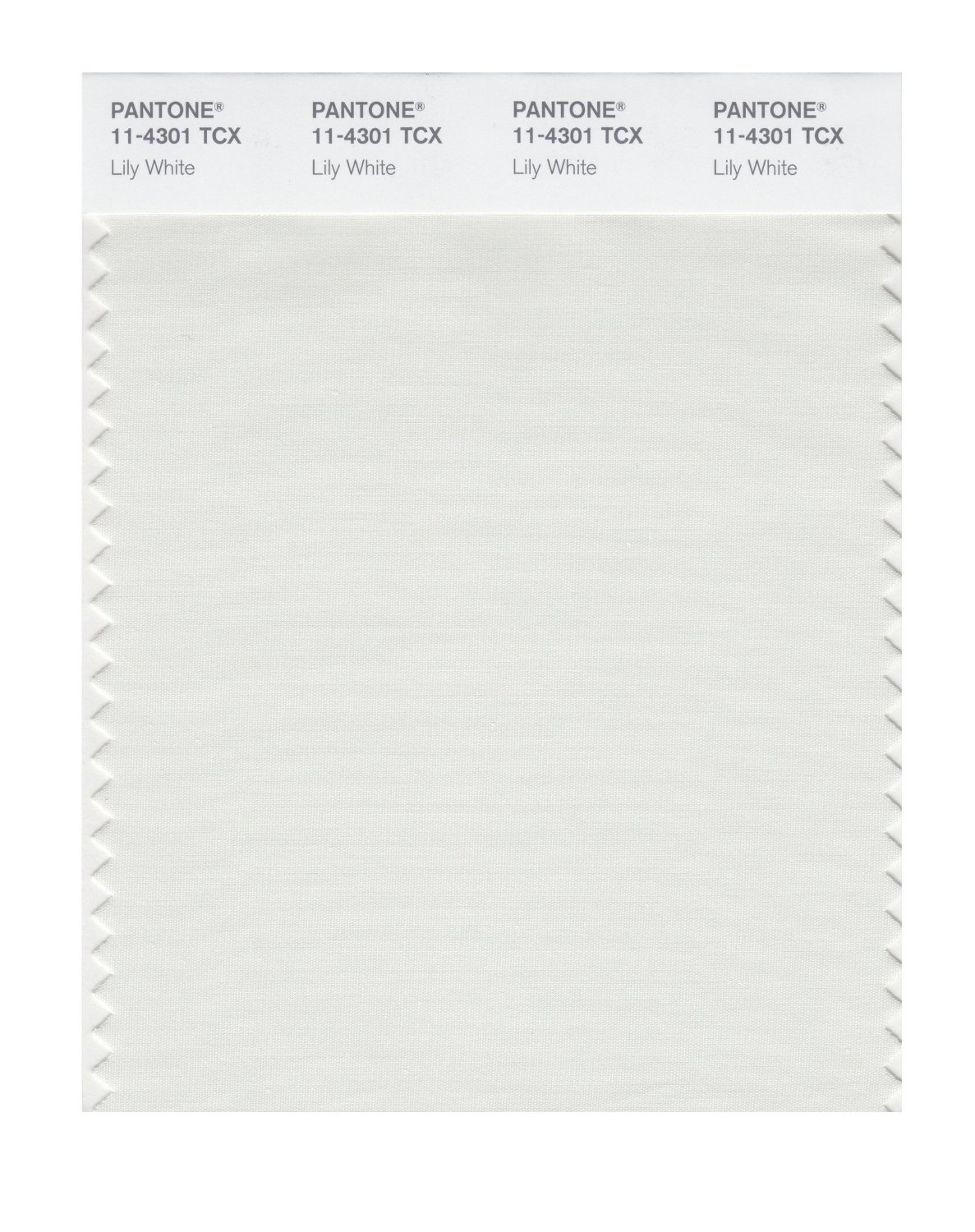 Pantone Cotton Swatch 11-4301 Lily White