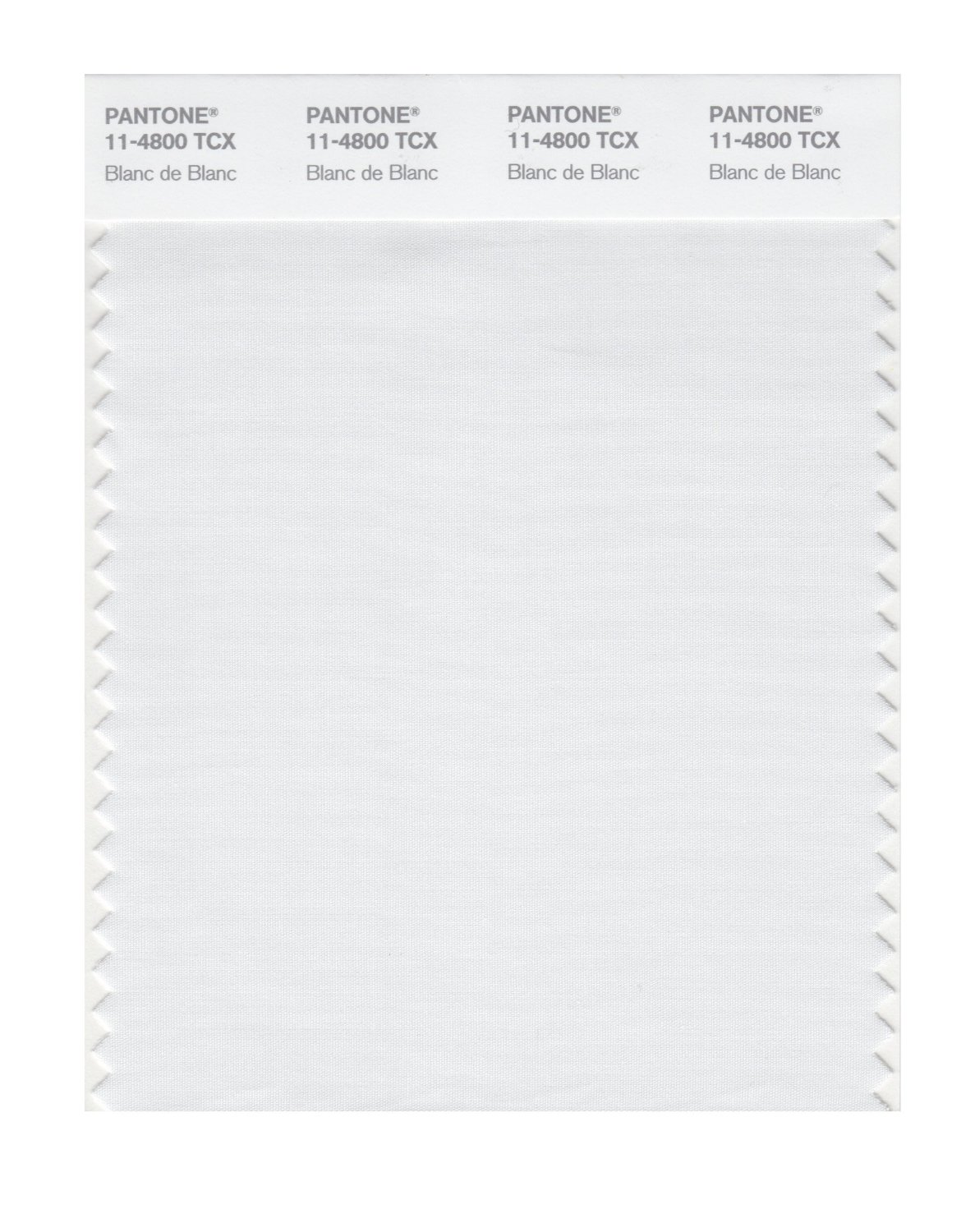 Pantone Cotton Swatch 11-4800 Blanc De Blanc