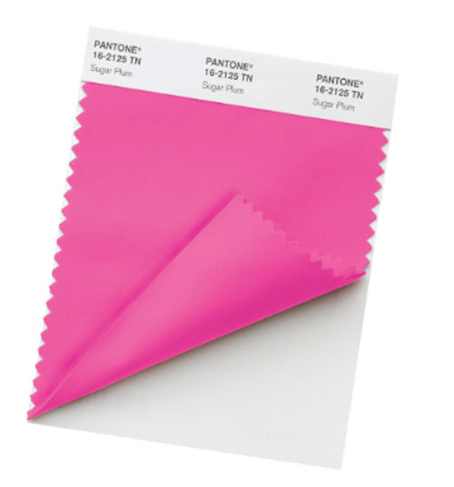 Nylon Brights Swatch TN 16-1650 Diva Pink