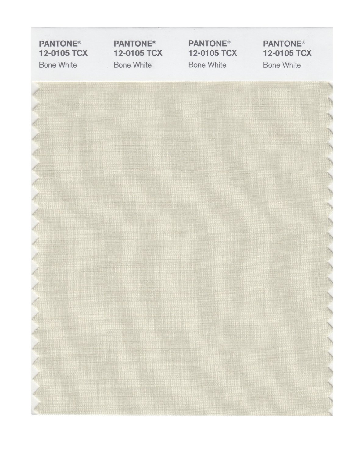 Pantone Cotton Swatch 12-0105 Bone White