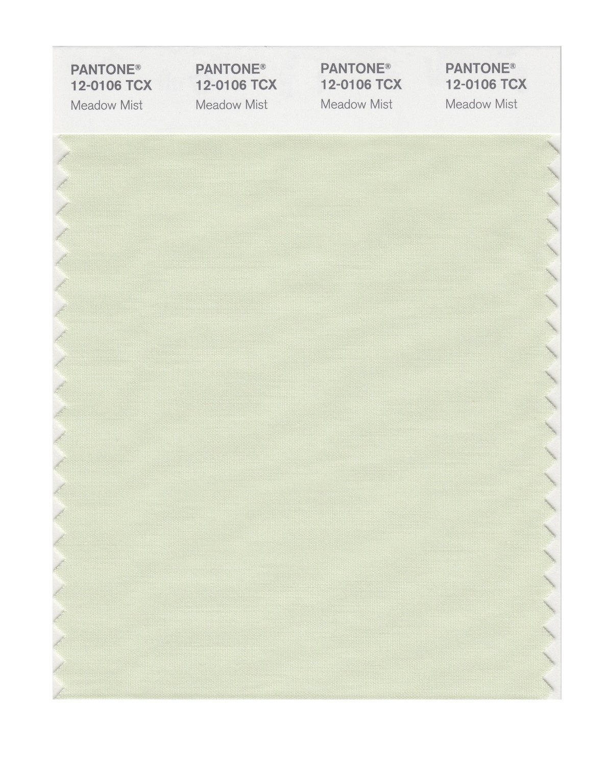 Pantone Cotton Swatch 12-0106 Meadow Mist