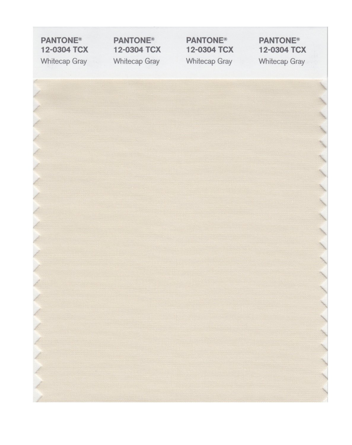 Pantone Cotton Swatch 12-0304 Whitecap Gray