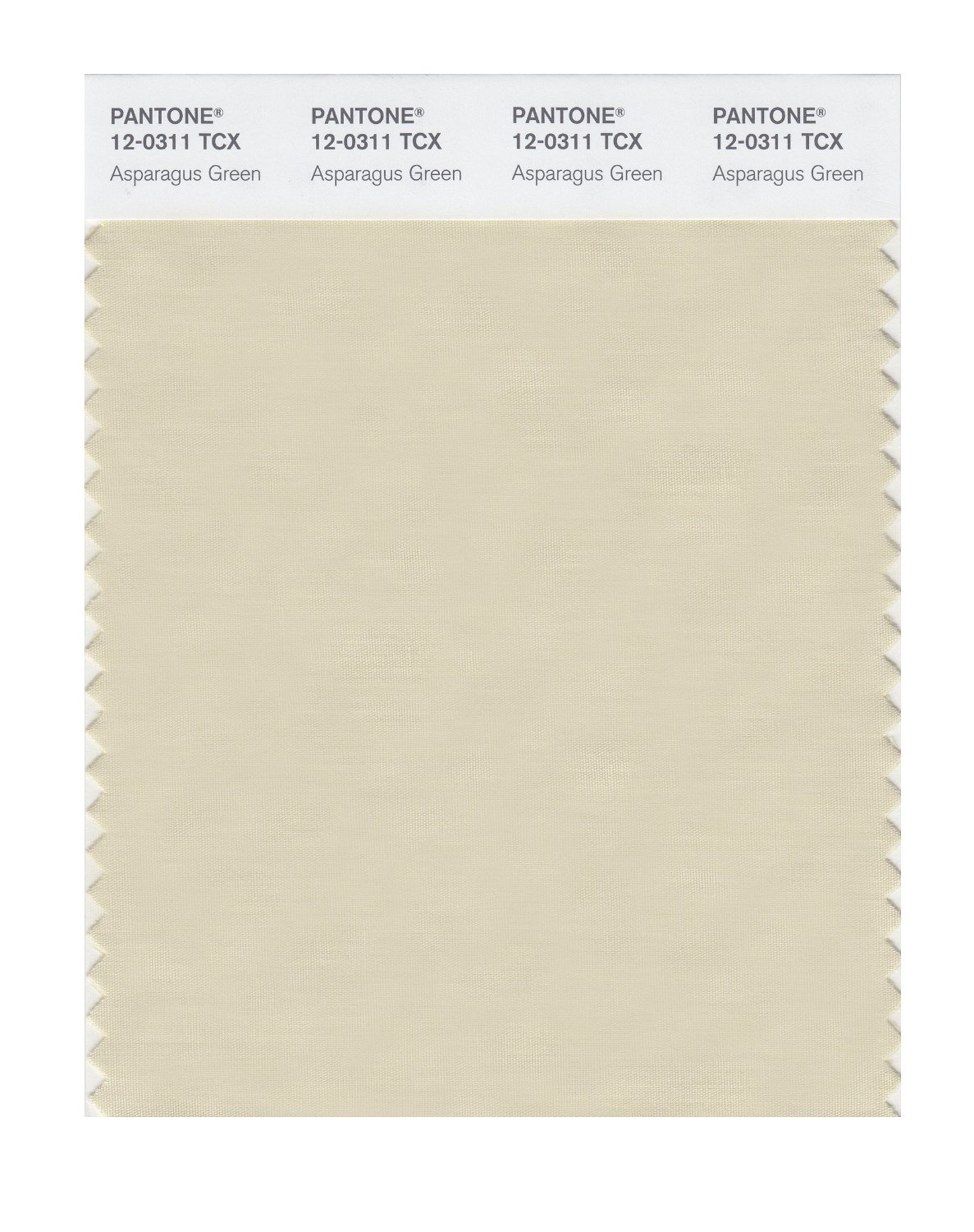 Pantone Cotton Swatch 12-0311 Asparagus Green