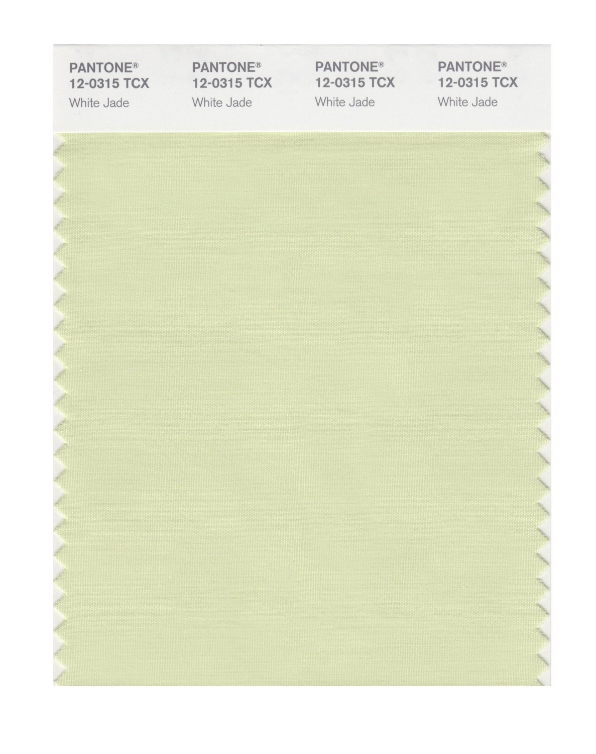 Pantone Cotton Swatch 12-0315 White Jade