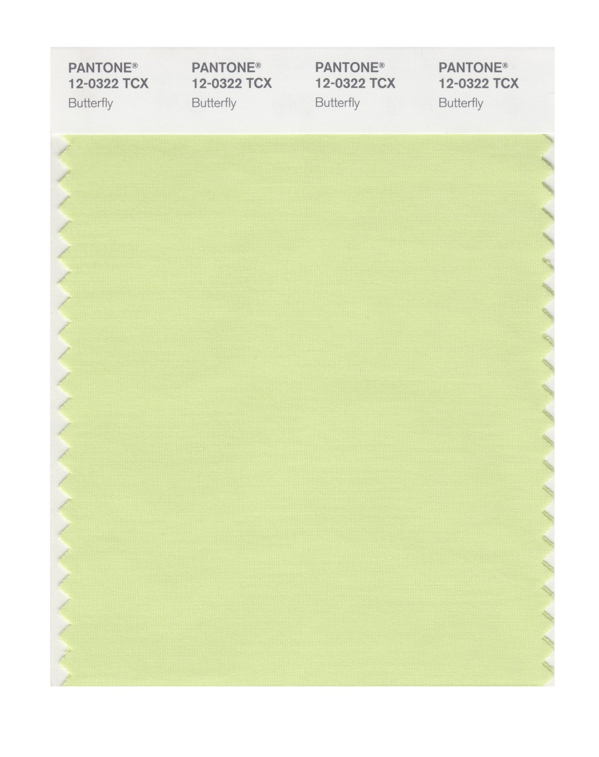 Pantone Cotton Swatch 12-0322 Butterfly