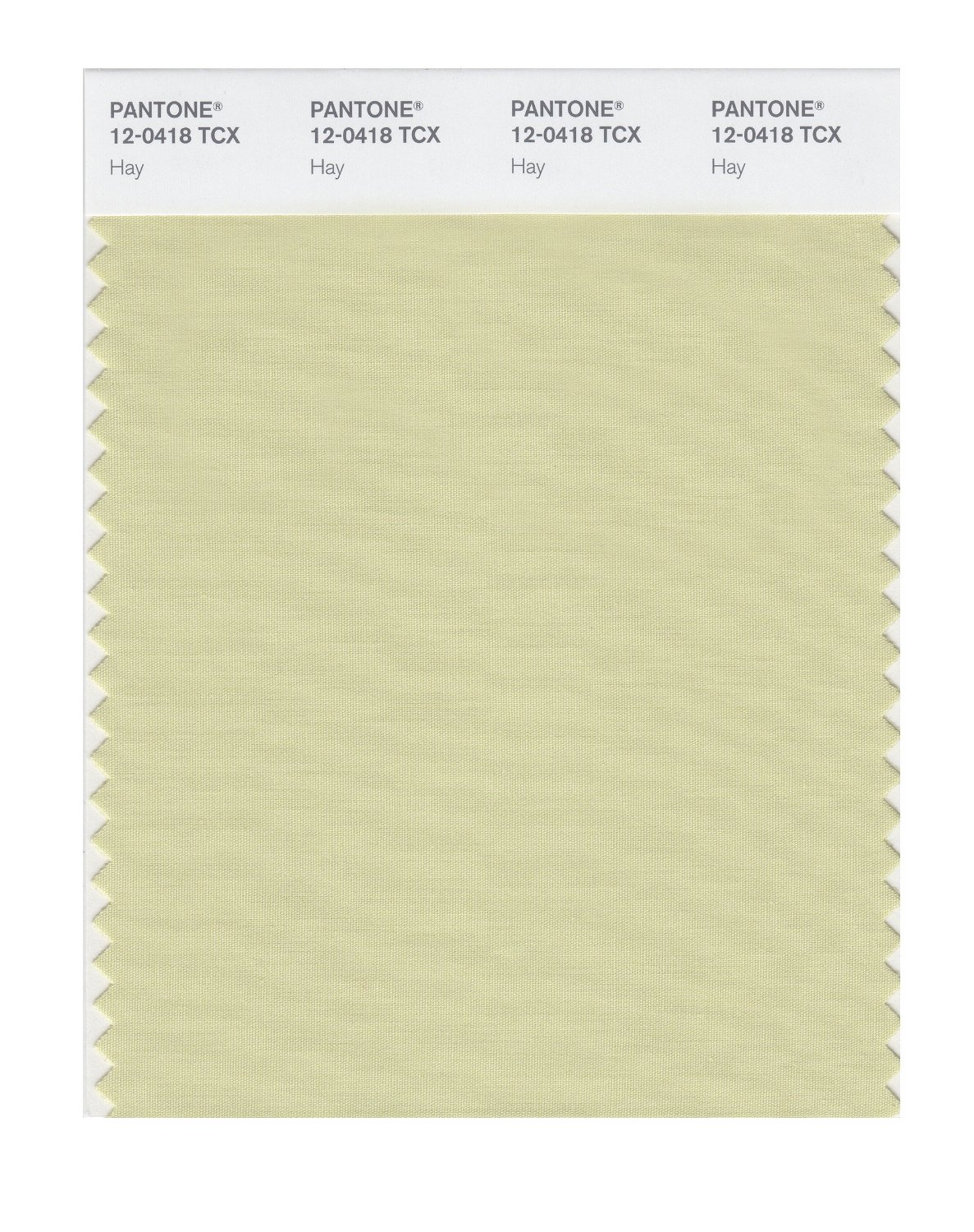 Pantone Cotton Swatch 12-0418 Hay