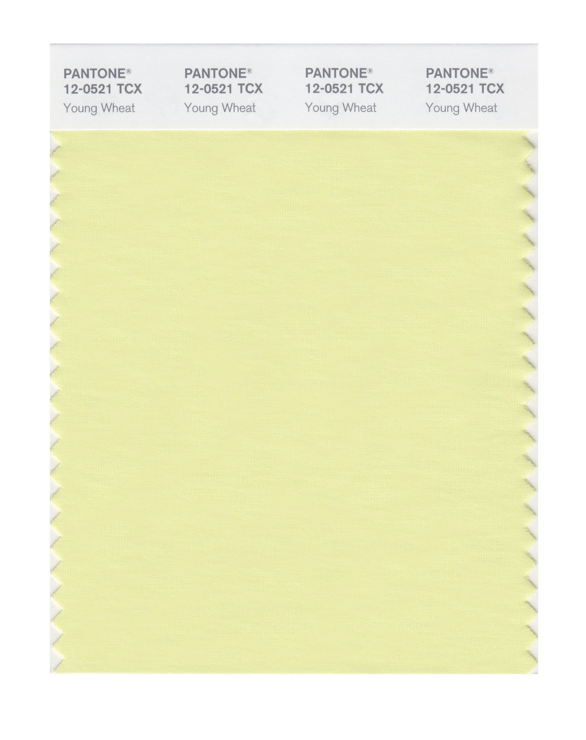 Pantone Cotton Swatch 12-0521 Young Wheat
