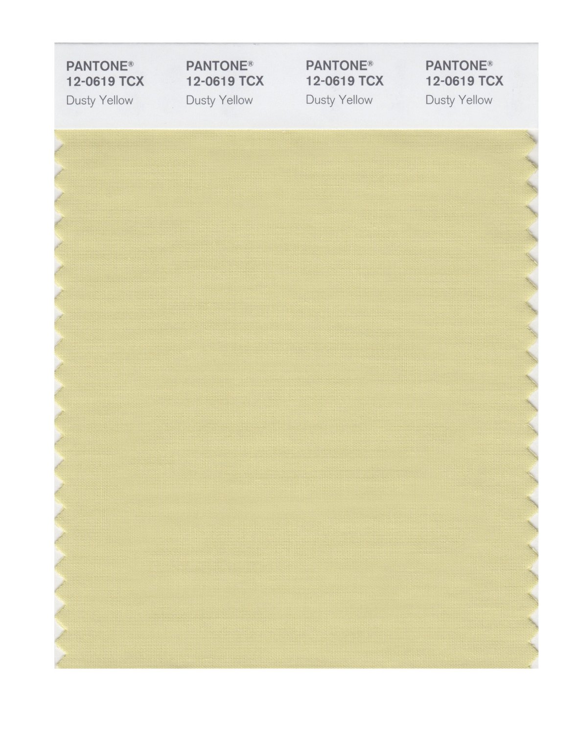 Pantone Cotton Swatch 12-0619 Dusty Yellow
