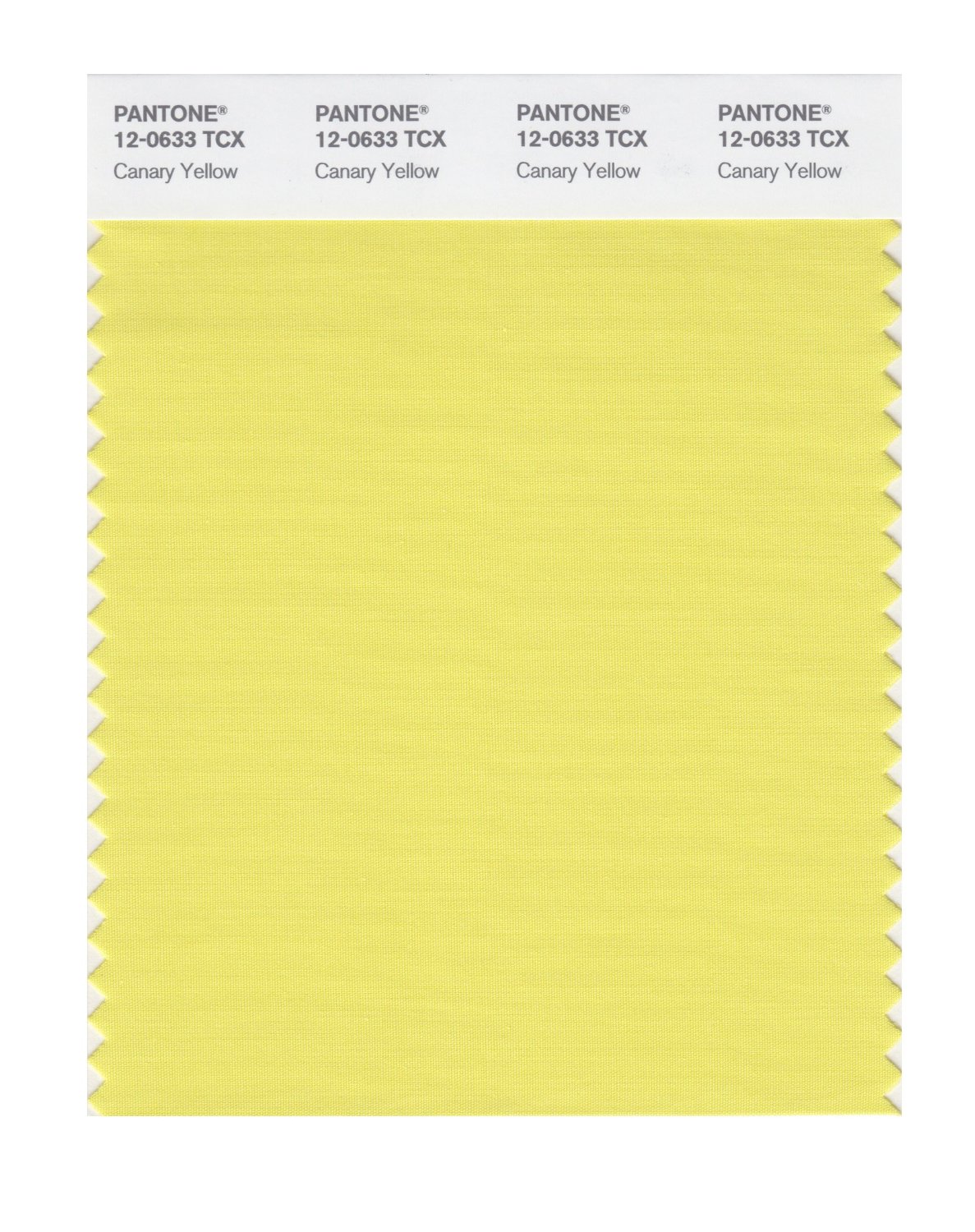 Pantone Cotton Swatch 12-0633 Canary Yellow