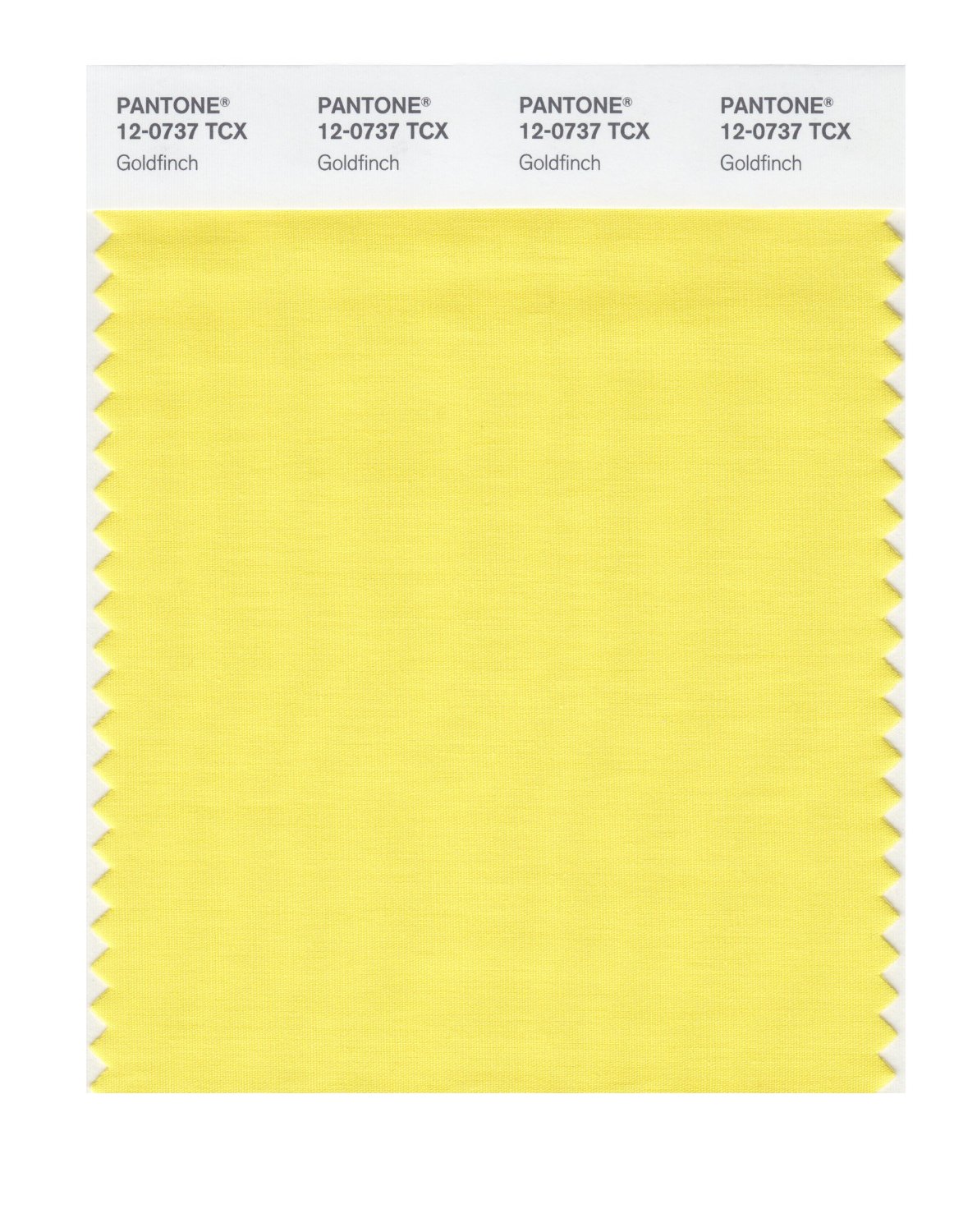 Pantone Cotton Swatch 12-0737 Goldfinch