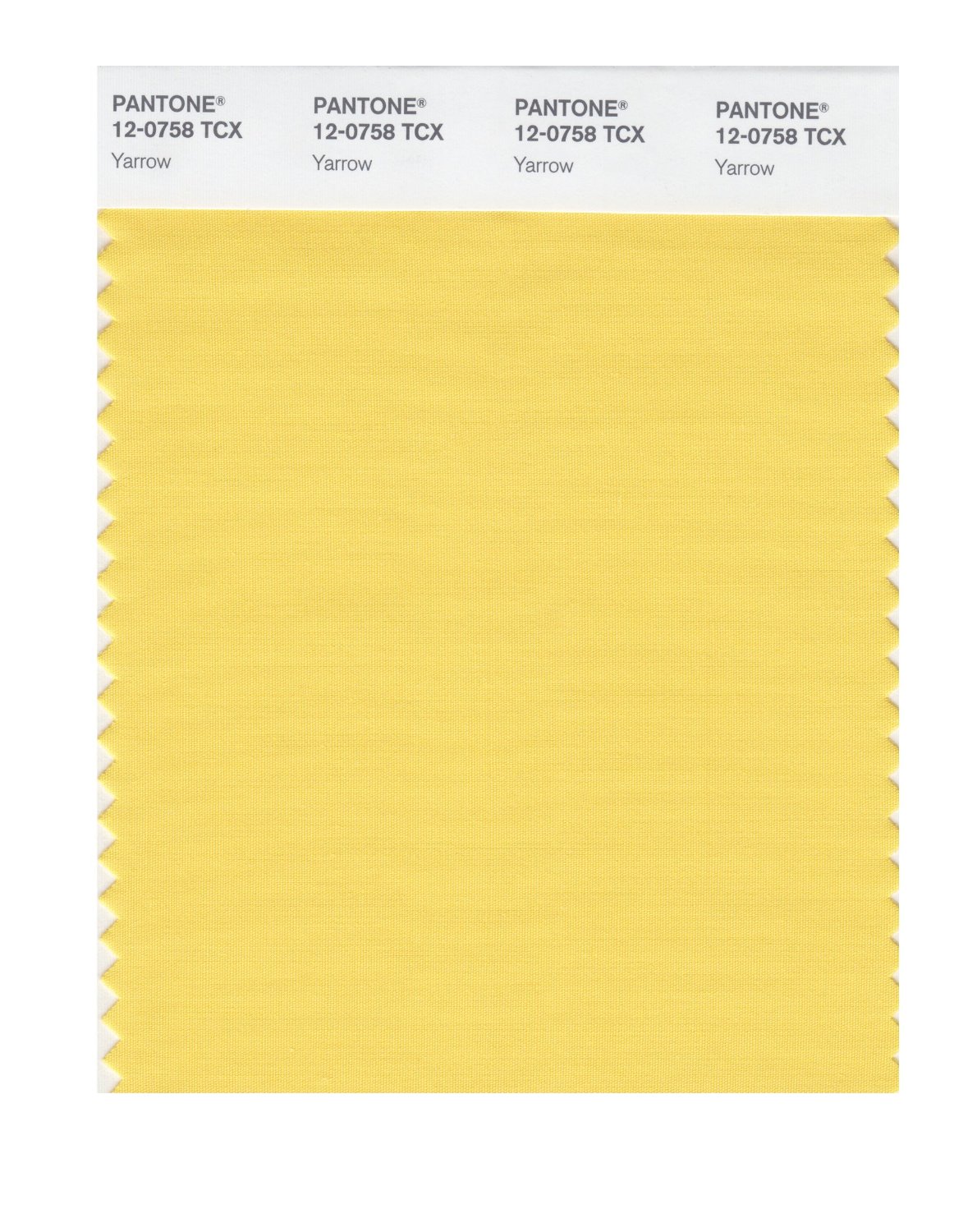 Pantone Cotton Swatch 12-0758 Yarrow