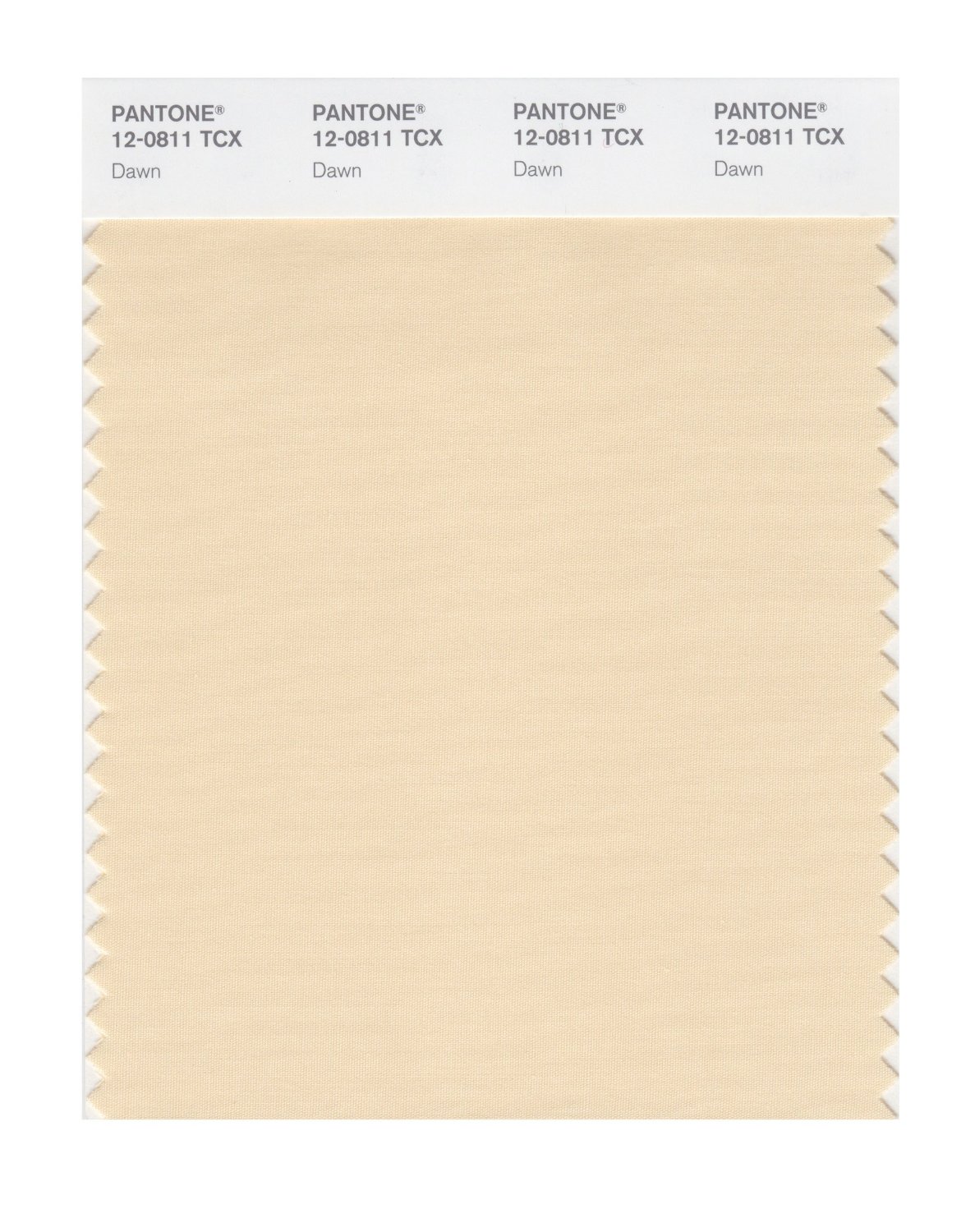 Pantone Cotton Swatch 12-0811 Dawn