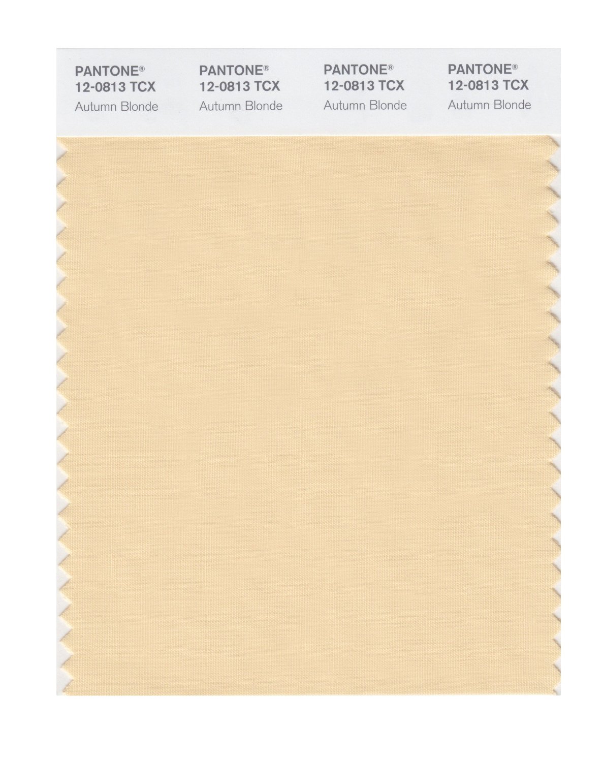 Pantone Cotton Swatch 12-0813 Autumn Blonde