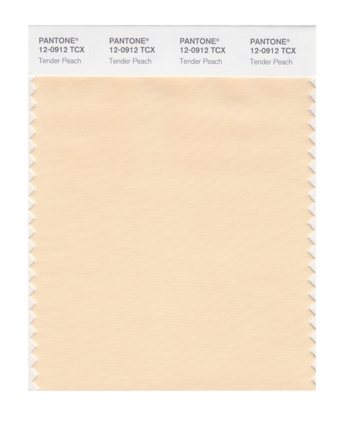 Pantone Cotton Swatch 12-0912 Tender Peach