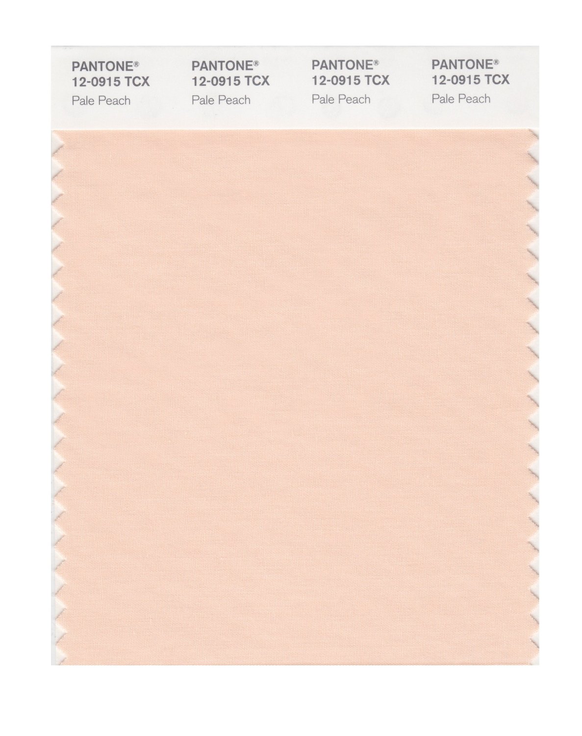 Pantone Cotton Swatch 12-0915 Pale Peach