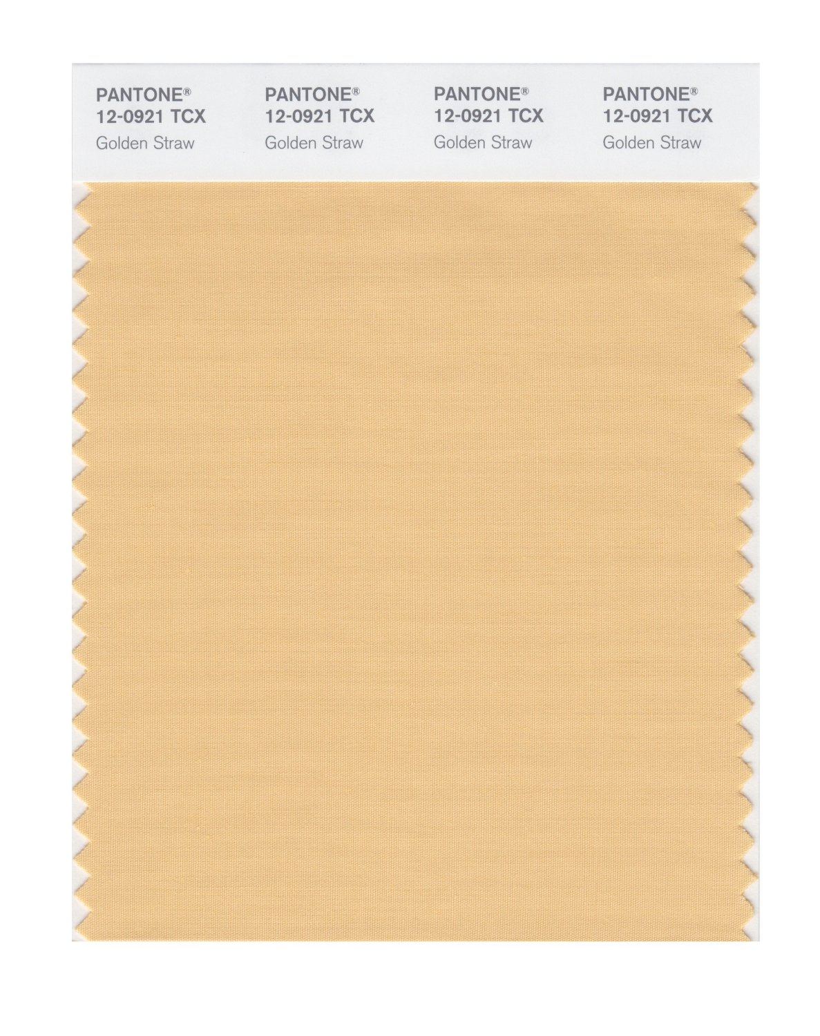 Pantone Cotton Swatch 12-0921 Golden Straw