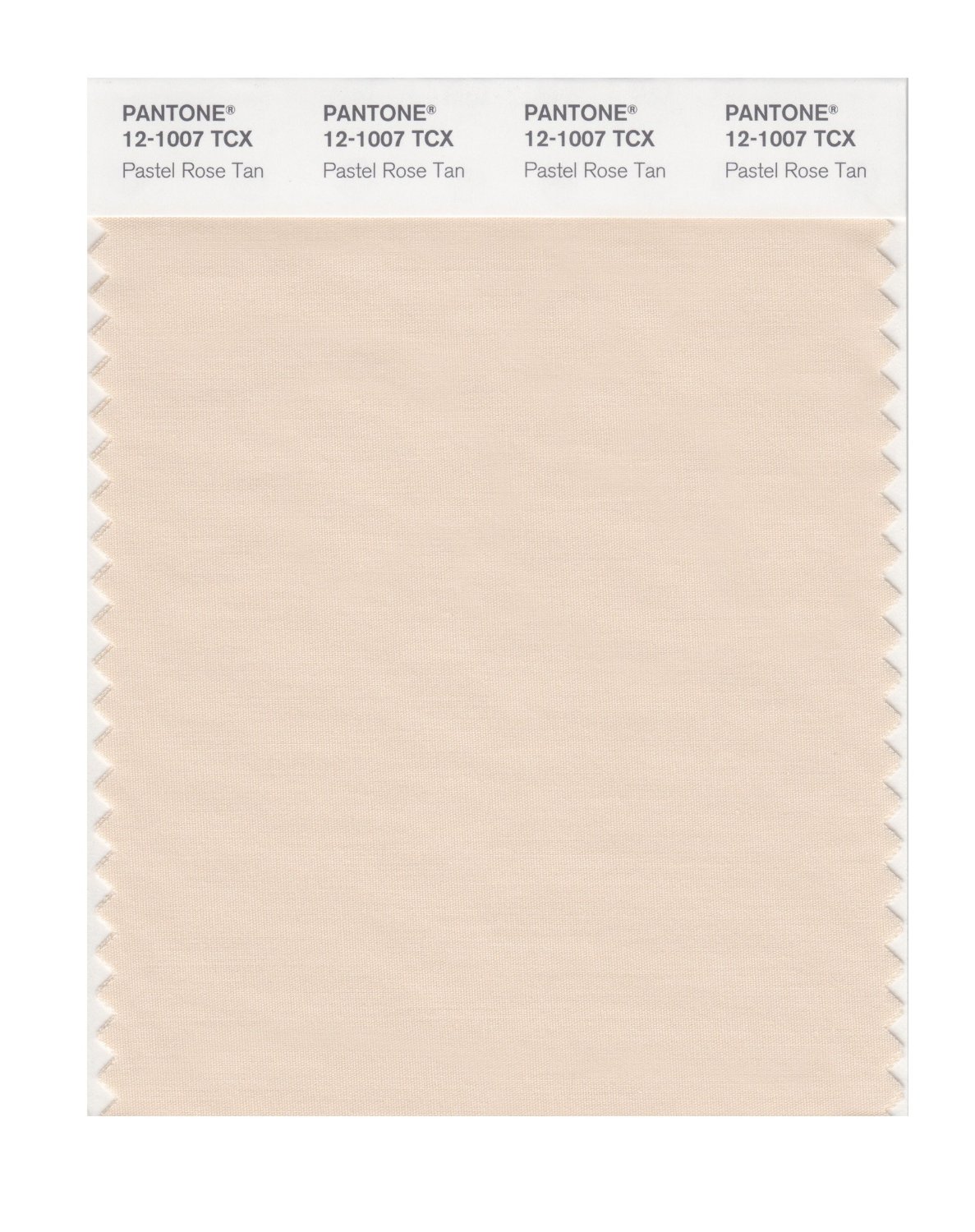 Pantone Cotton Swatch 12-1007 Pastel Rose Tan