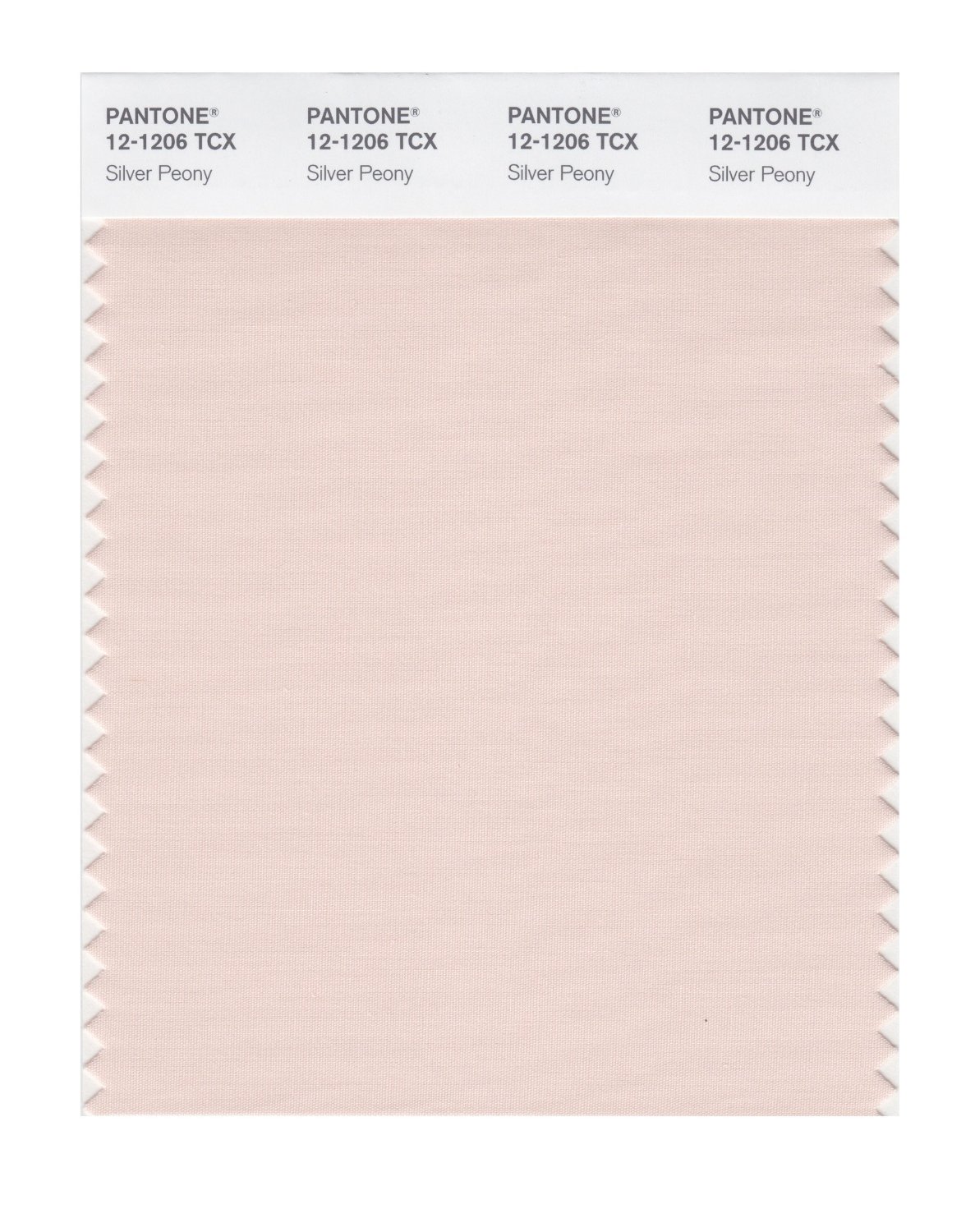 Pantone Cotton Swatch 12-1206 Silver Peony