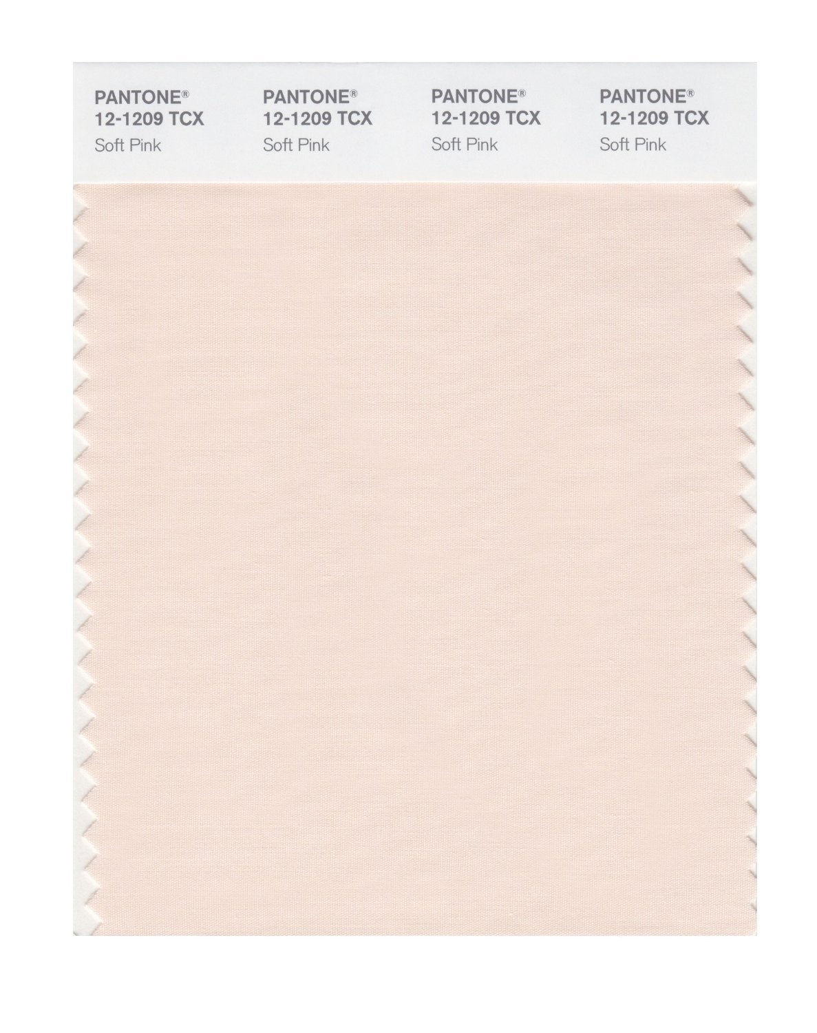 Pantone Cotton Swatch 12-1209 Soft Pink