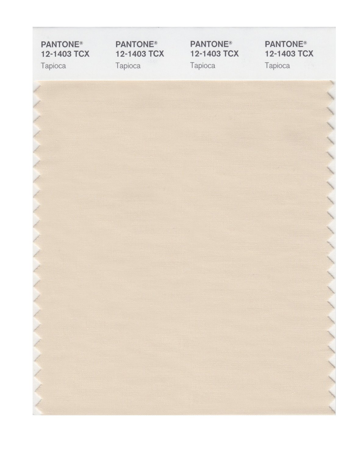 Pantone Cotton Swatch 12-1403 Tapioca