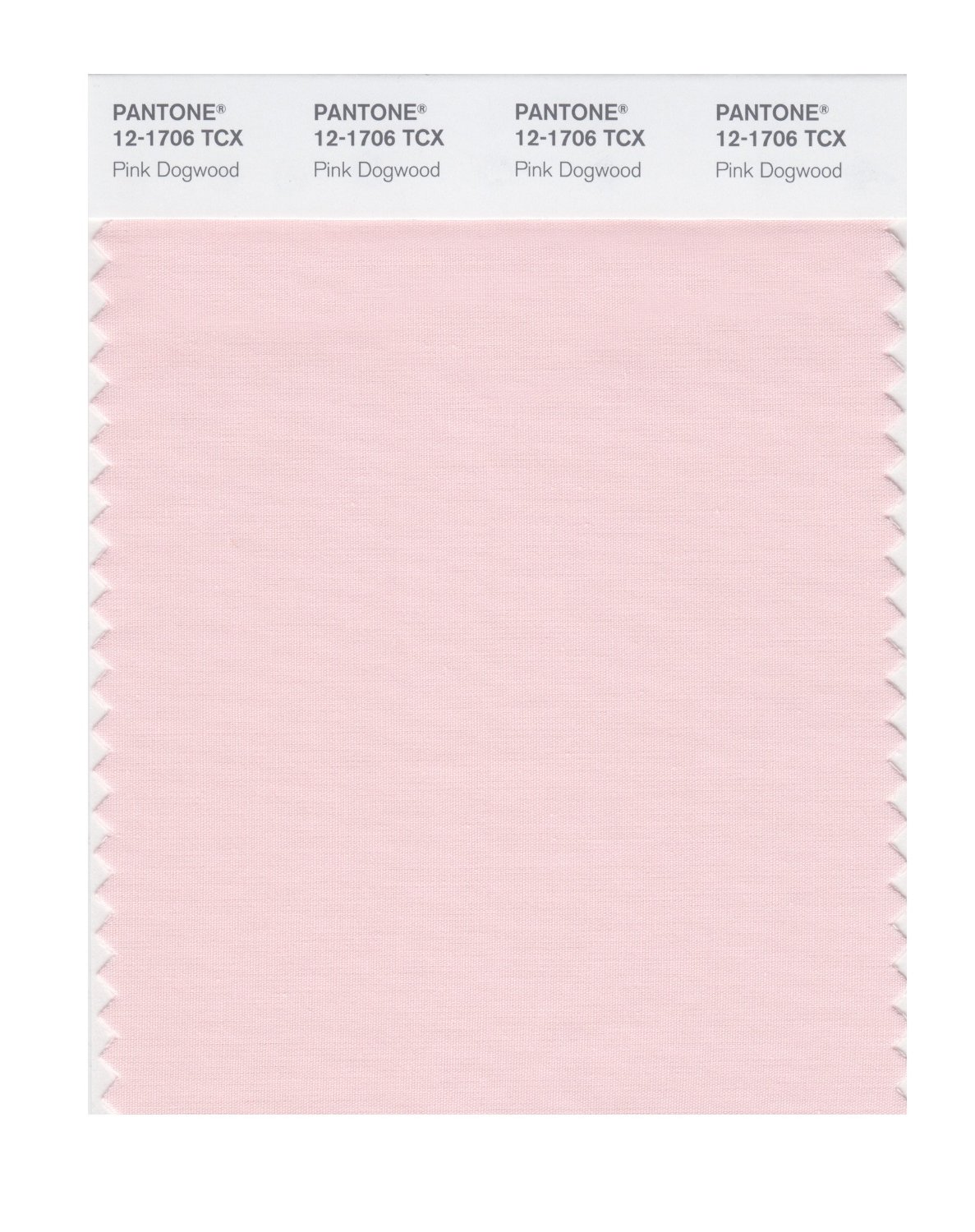 Pantone Cotton Swatch 12-1706 Pink Dogwood