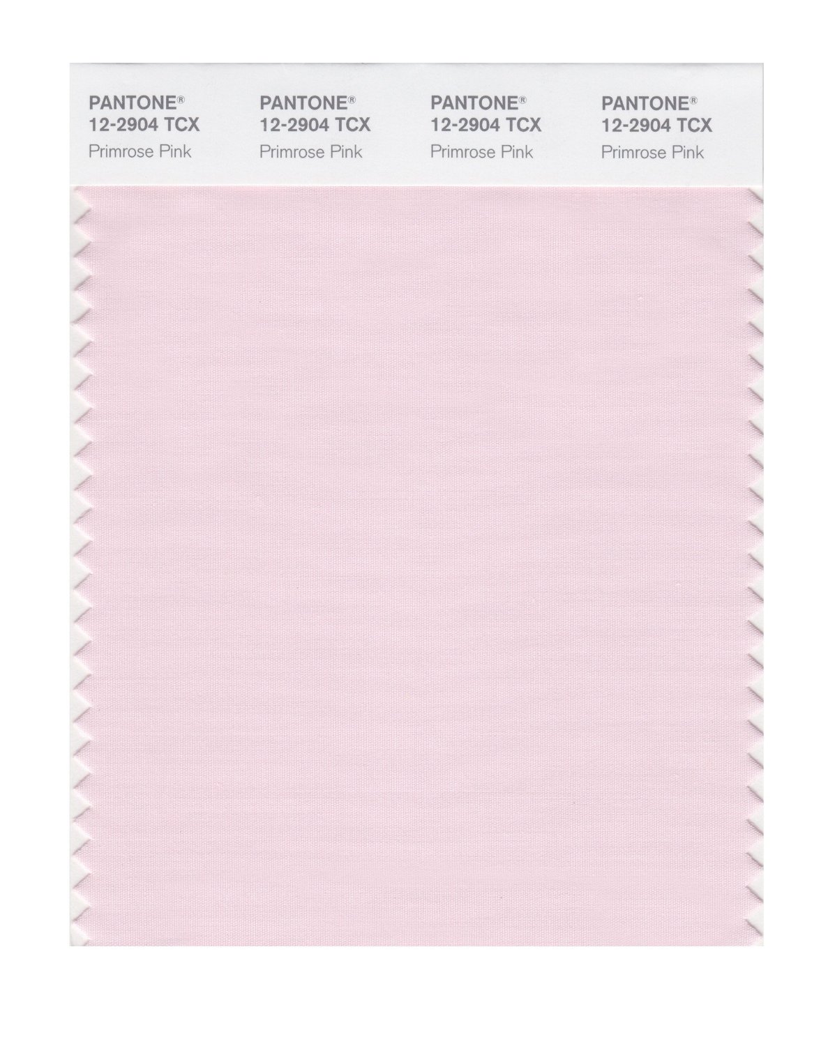 Pantone Cotton Swatch 12-2904 Primrose Pink