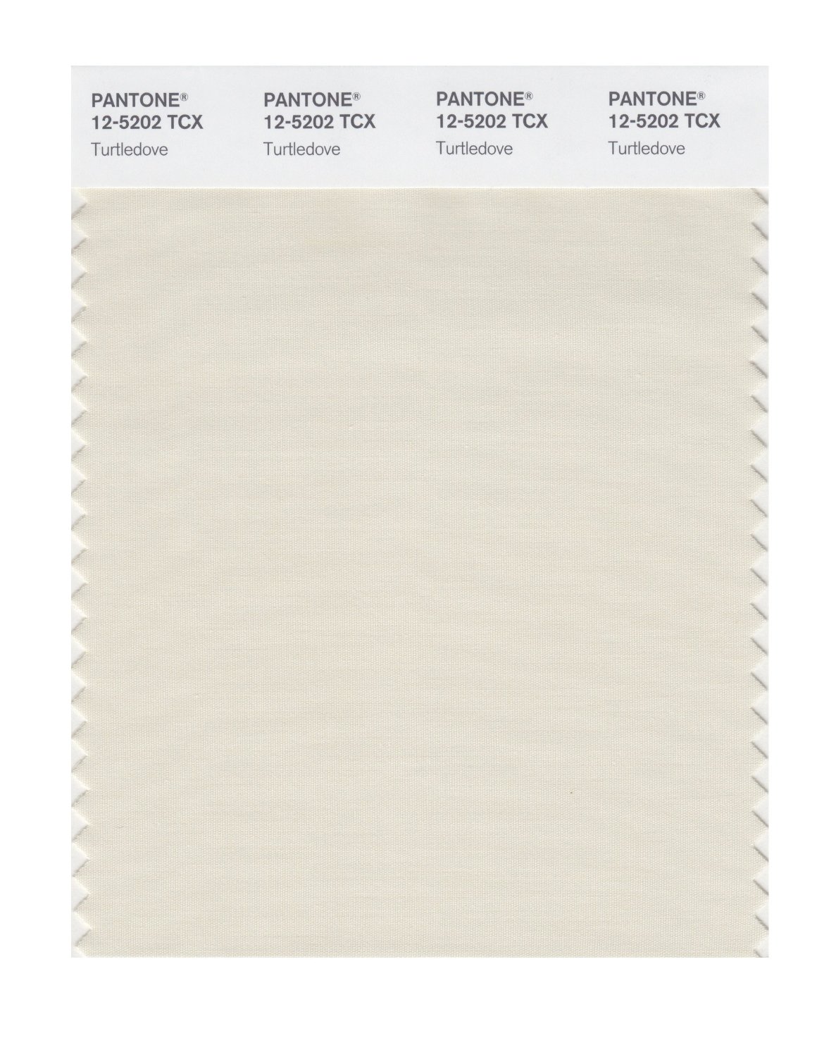 Pantone Cotton Swatch 12-5202 Turtledove