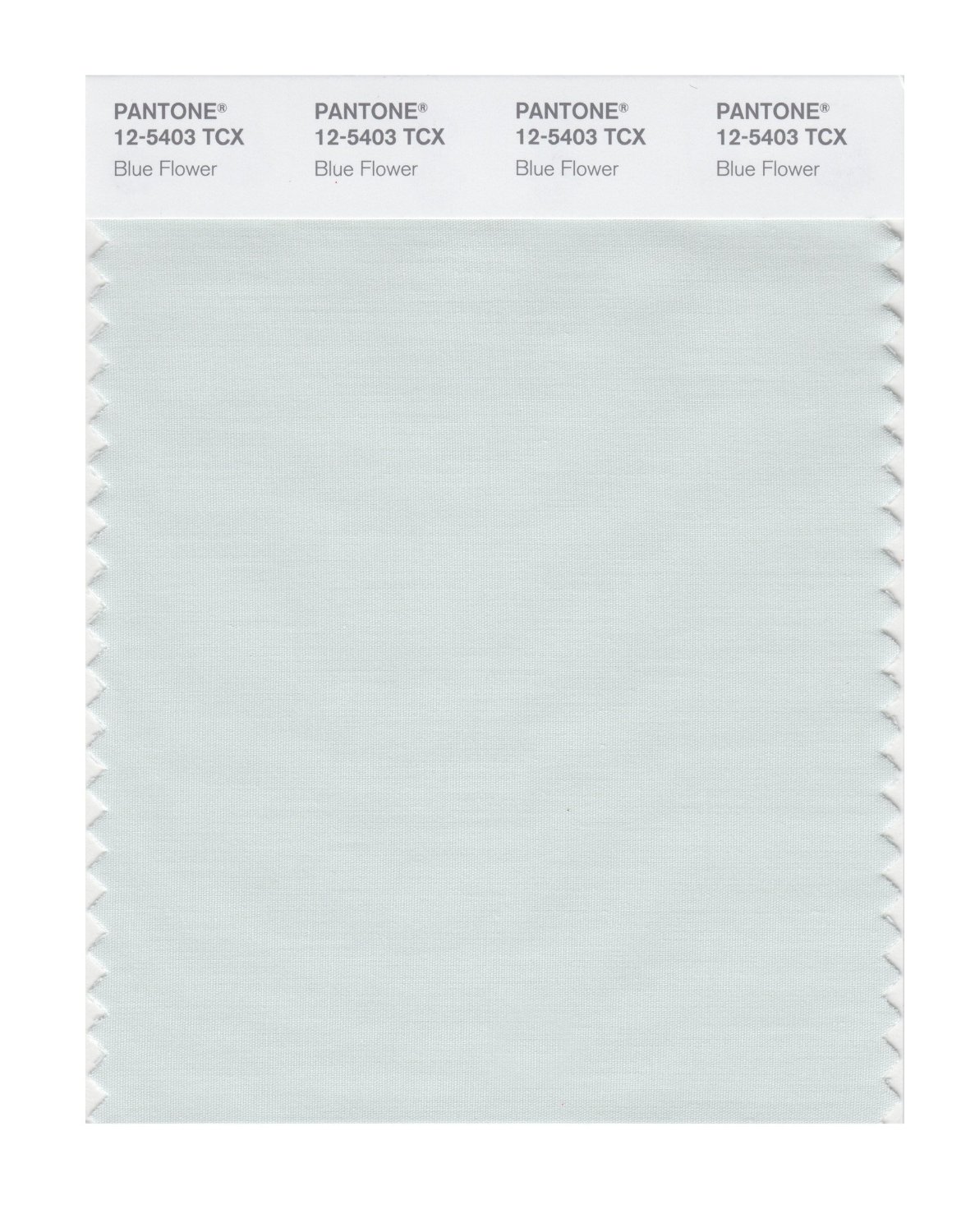 Pantone Cotton Swatch 12-5403 Blue Flower