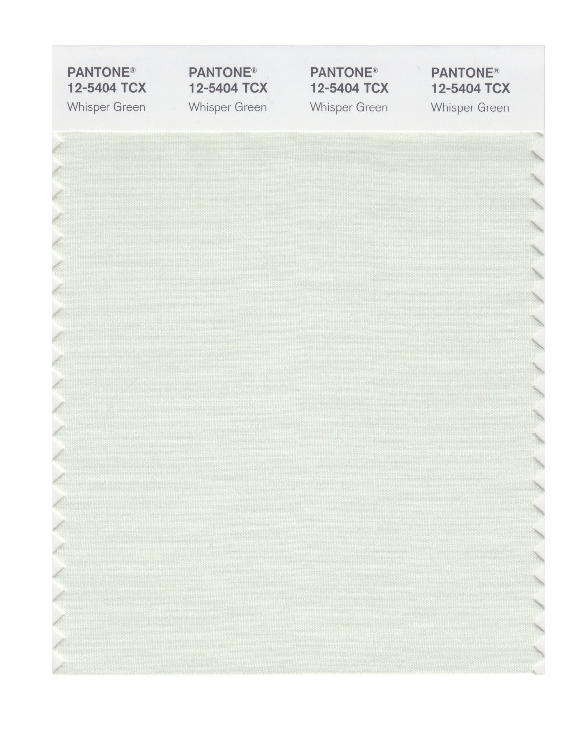 Pantone Cotton Swatch 12-5404 Whisper Green