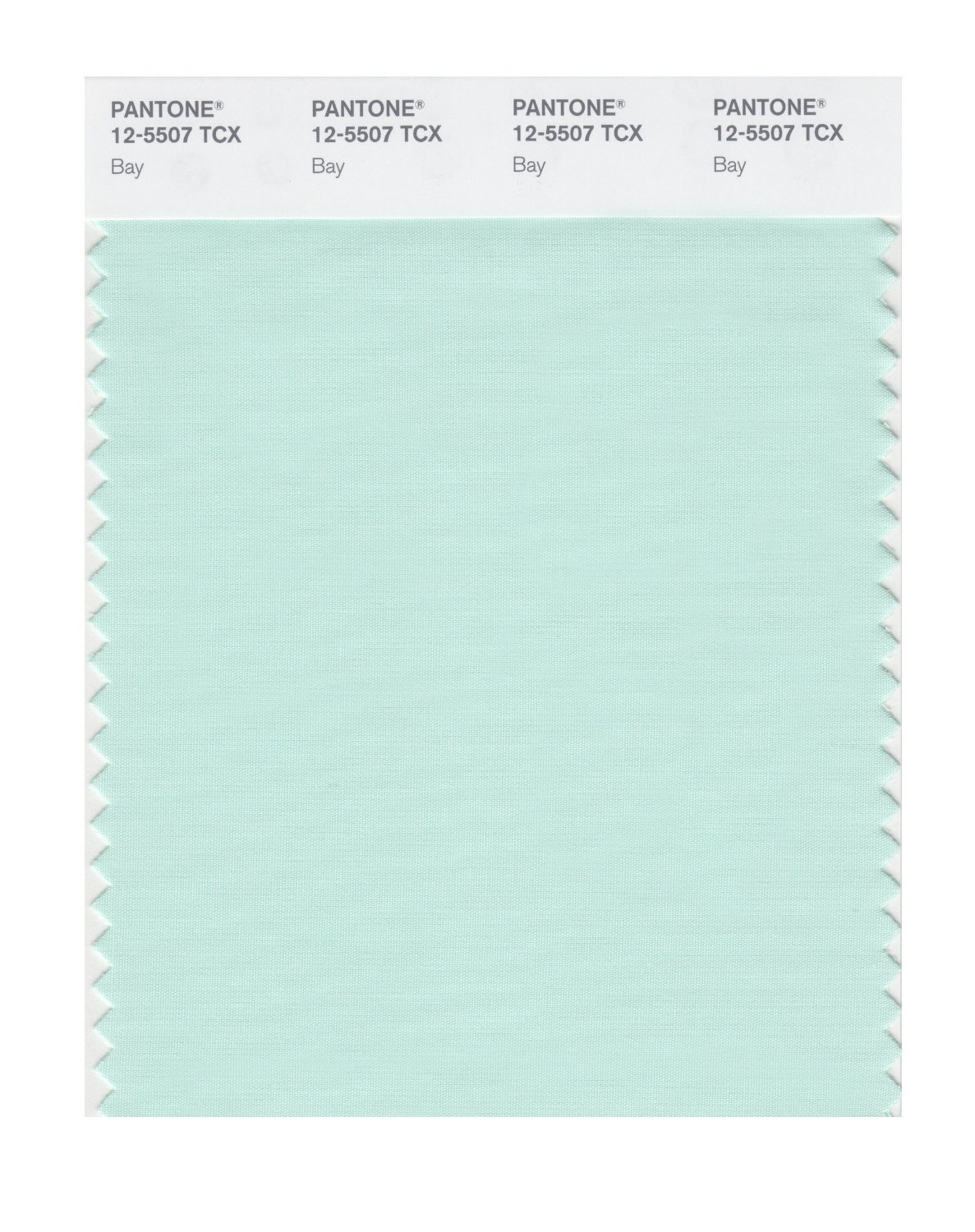 Pantone Cotton Swatch 12-5507 Bay