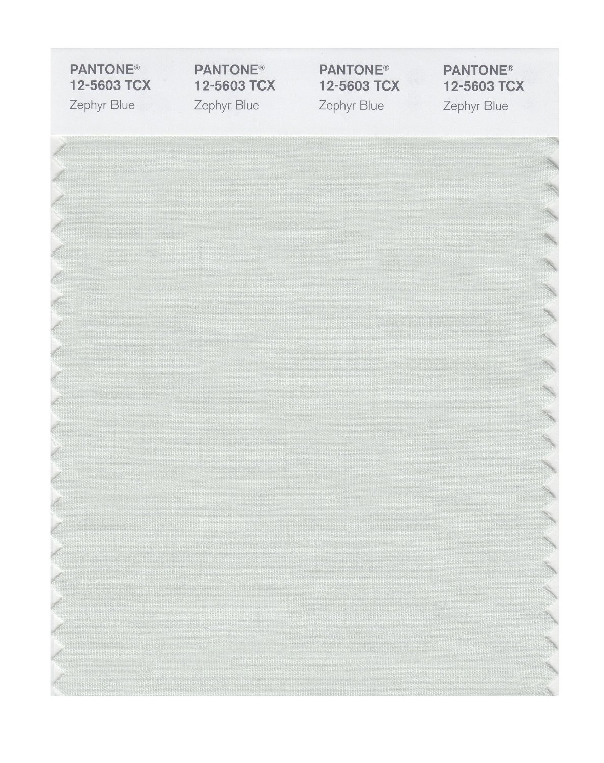 Pantone Cotton Swatch 12-5603 Zephyr Blue