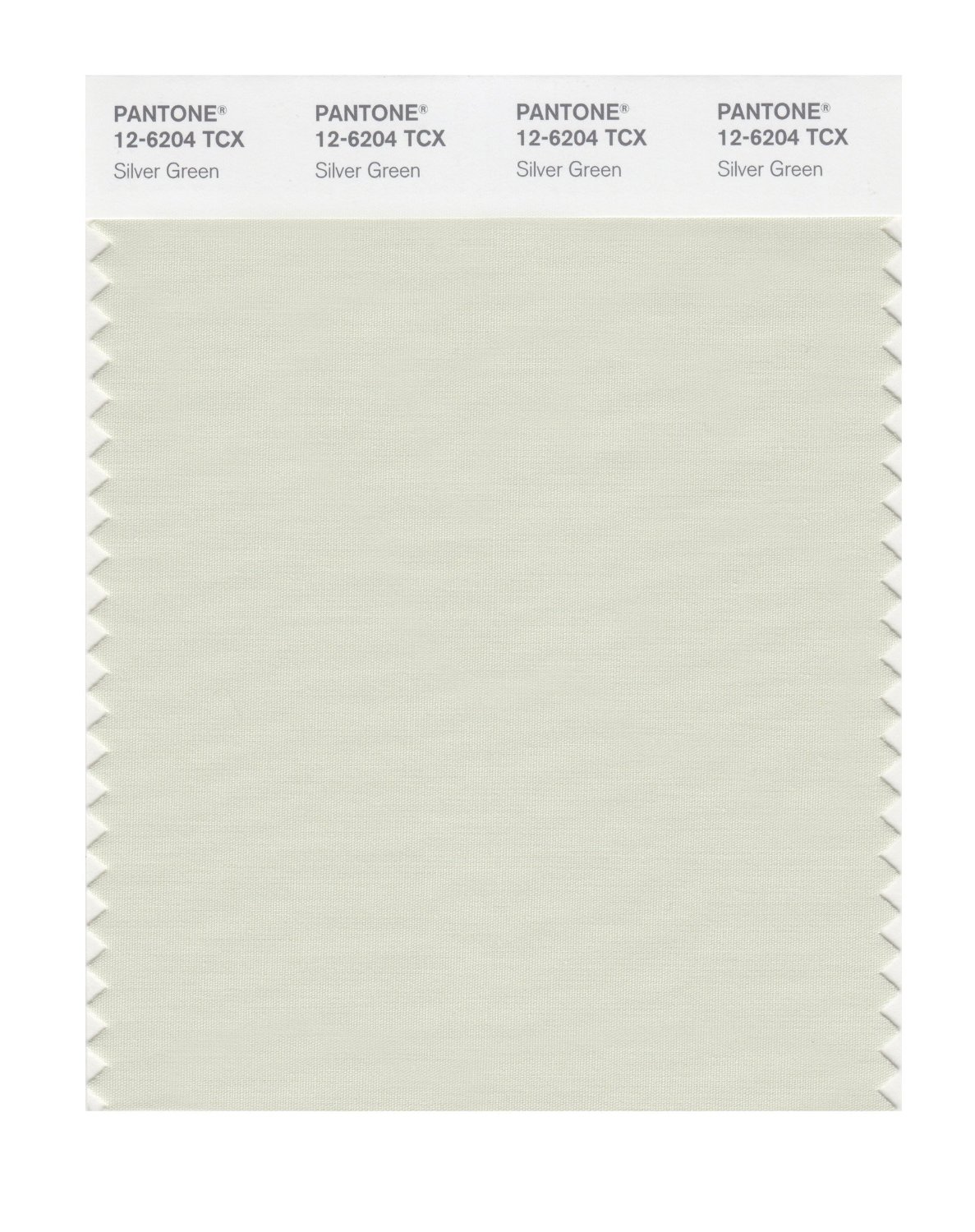 Pantone Cotton Swatch 12-6204 Silver Green