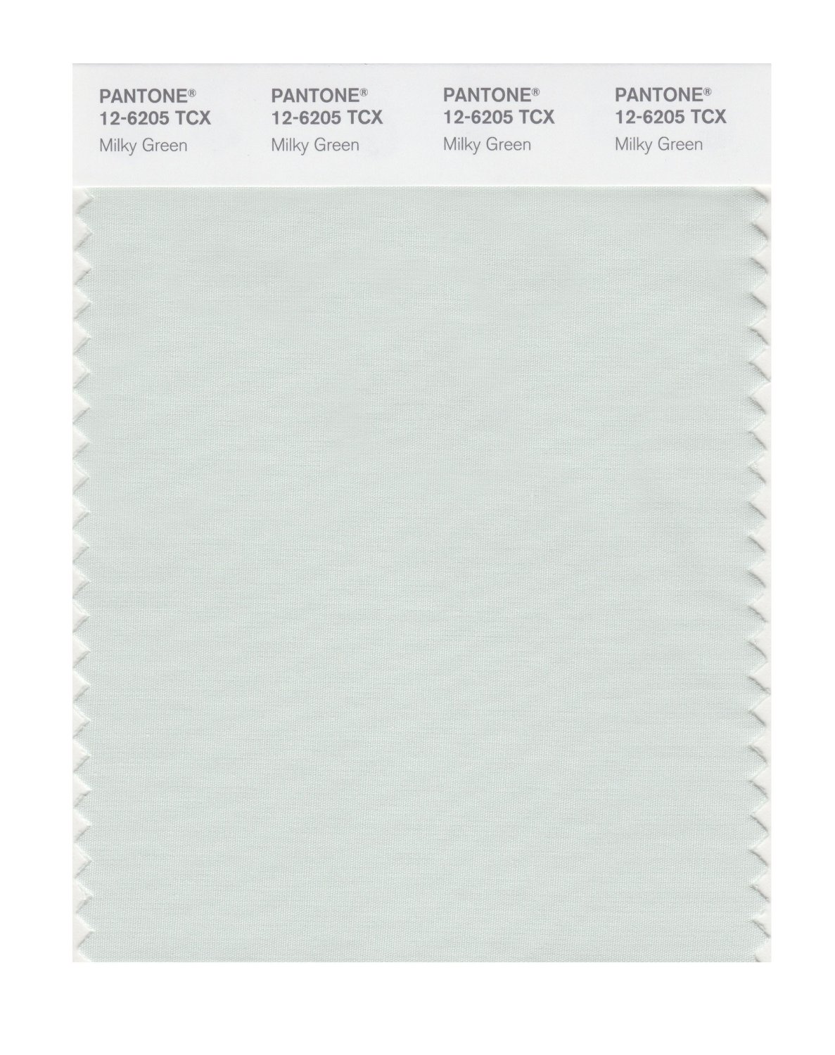 Pantone Cotton Swatch 12-6205 Milky Green