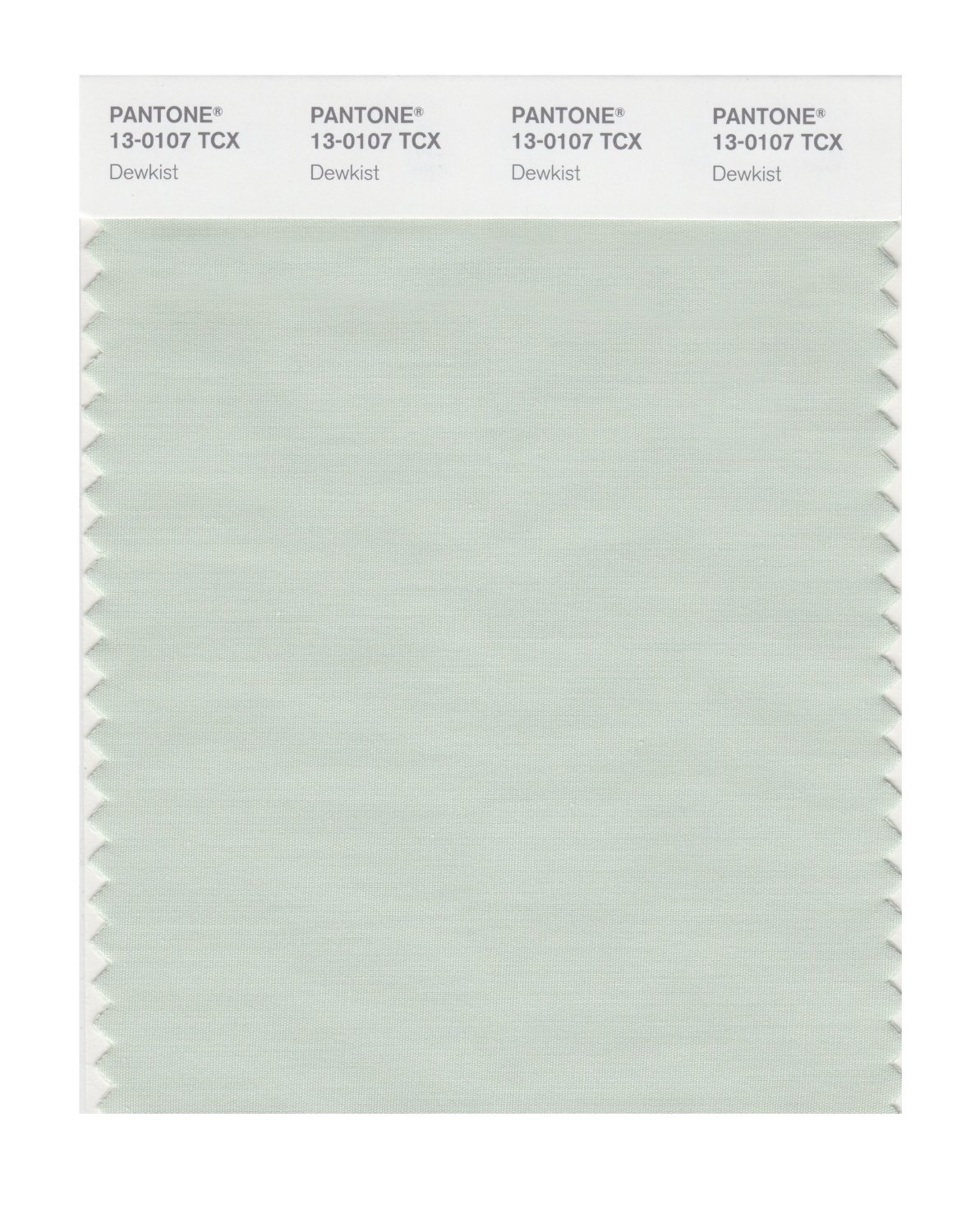 Pantone Cotton Swatch 13-0107 Dewkist