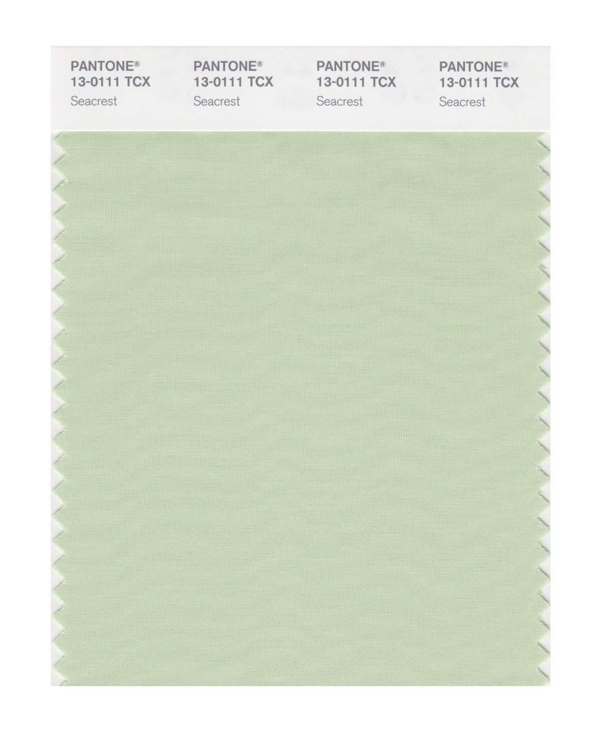 Pantone Cotton Swatch 13-0111 Seacrest