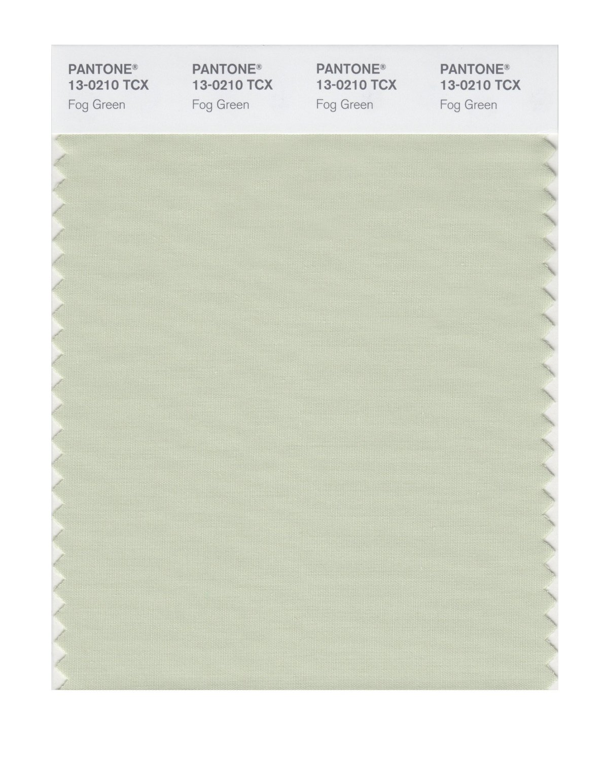 Pantone Cotton Swatch 13-0210 Fog Green