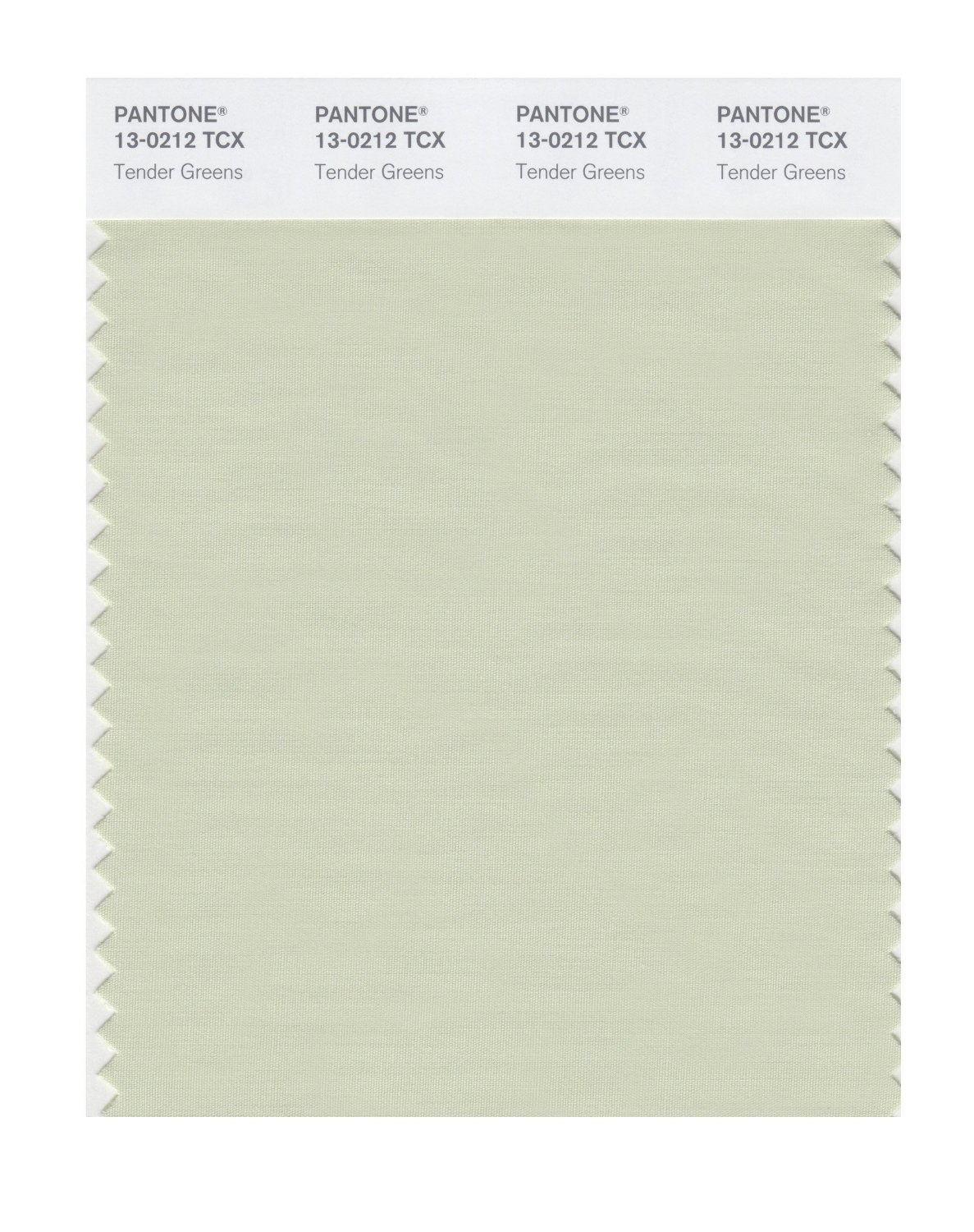 Pantone Cotton Swatch 13-0212 Tender Greens