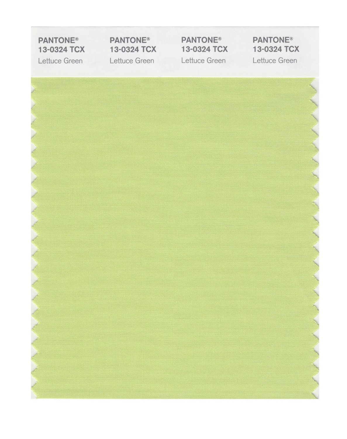 Pantone Cotton Swatch 13-0324 Lettuce Green