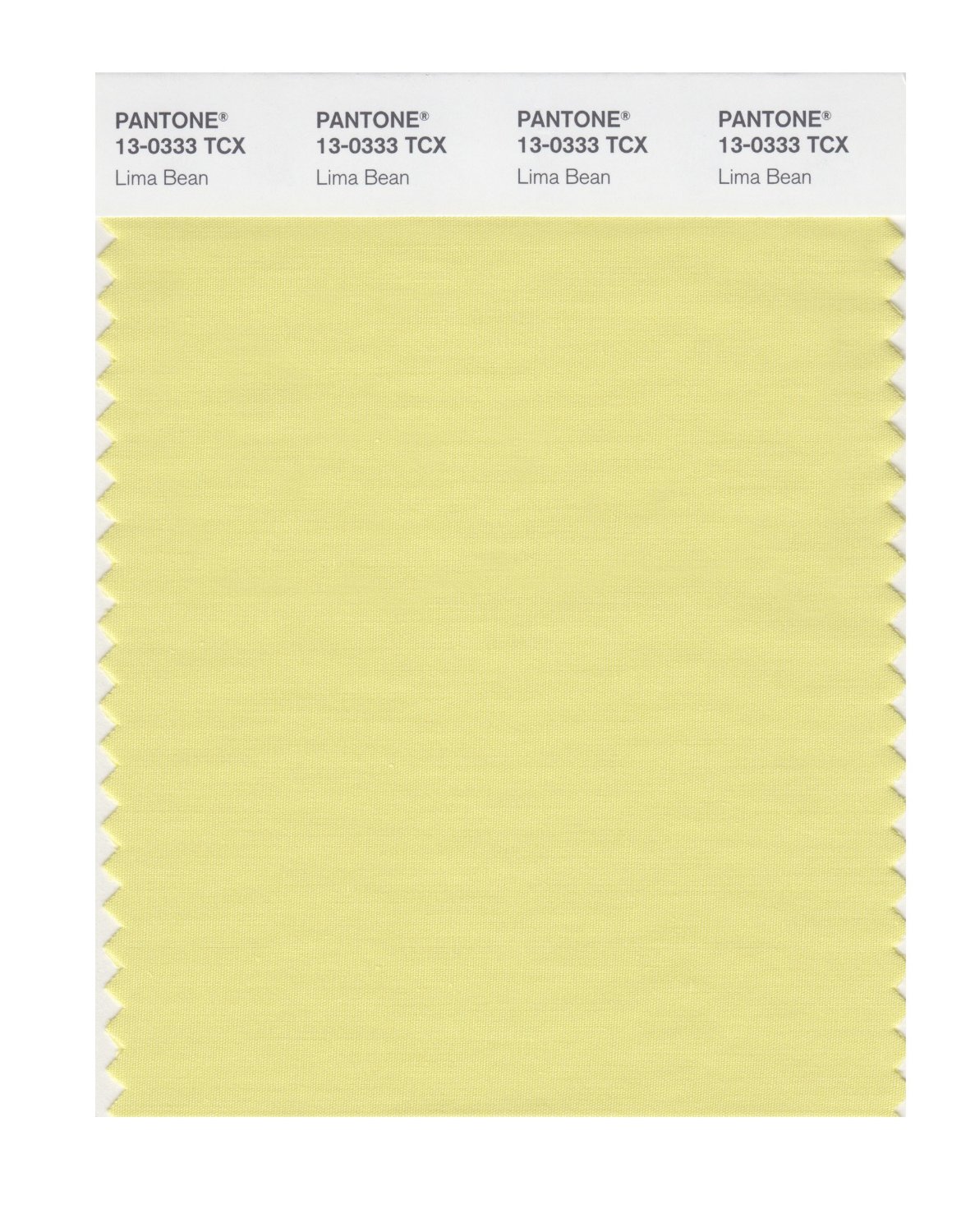 Pantone Cotton Swatch 13-0333 Lima Bean