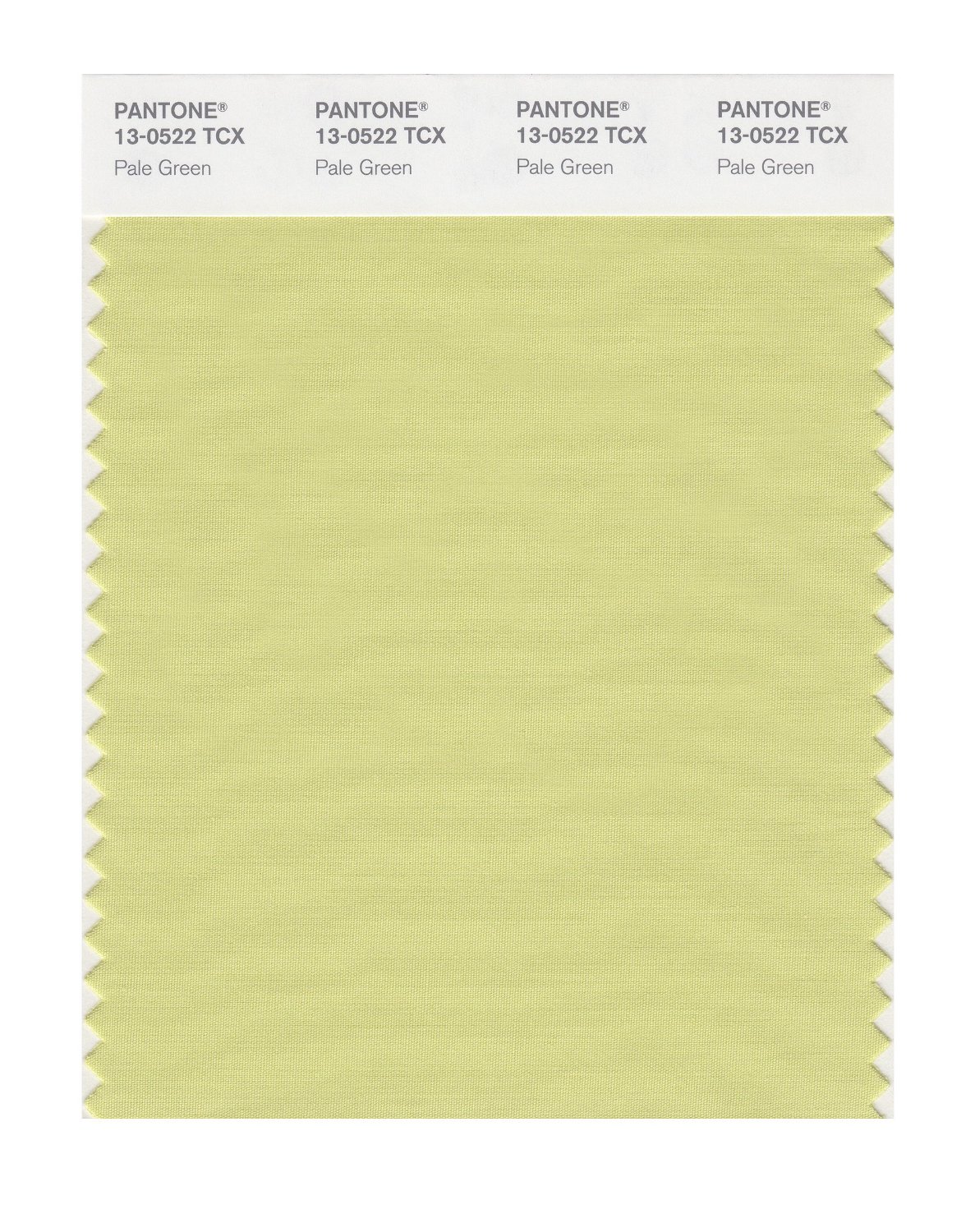 Pantone Cotton Swatch 13-0522 Pale Green