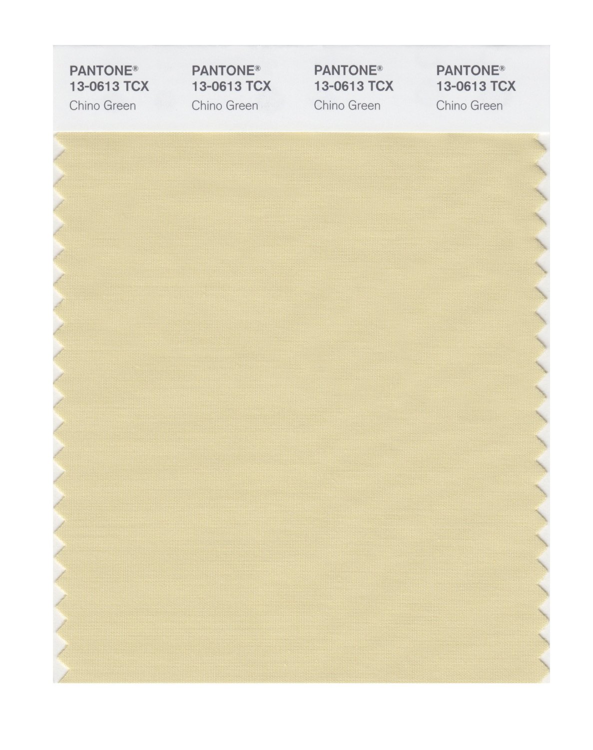 Pantone Cotton Swatch 13-0613 Chino Green