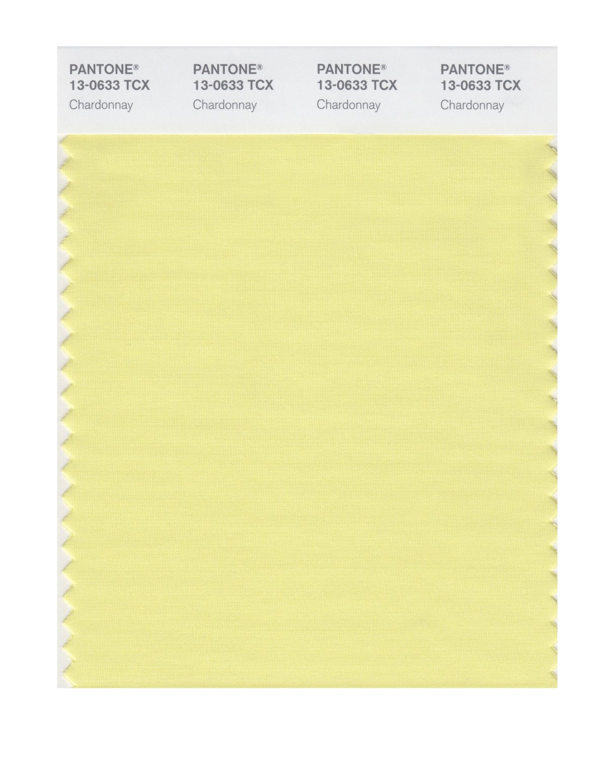 Pantone Cotton Swatch 13-0633 Chardonnay